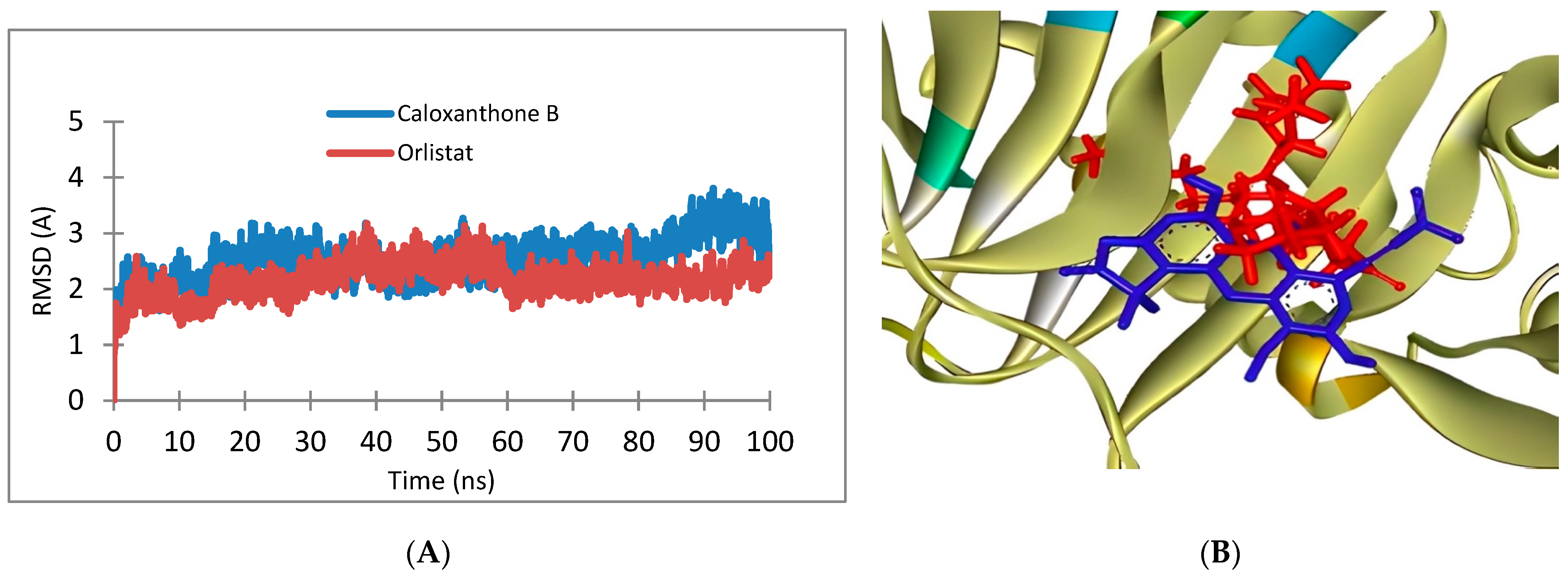 Pharmaceuticals 16 00191 g010 Pharmaceuticals 16 00191 g010
