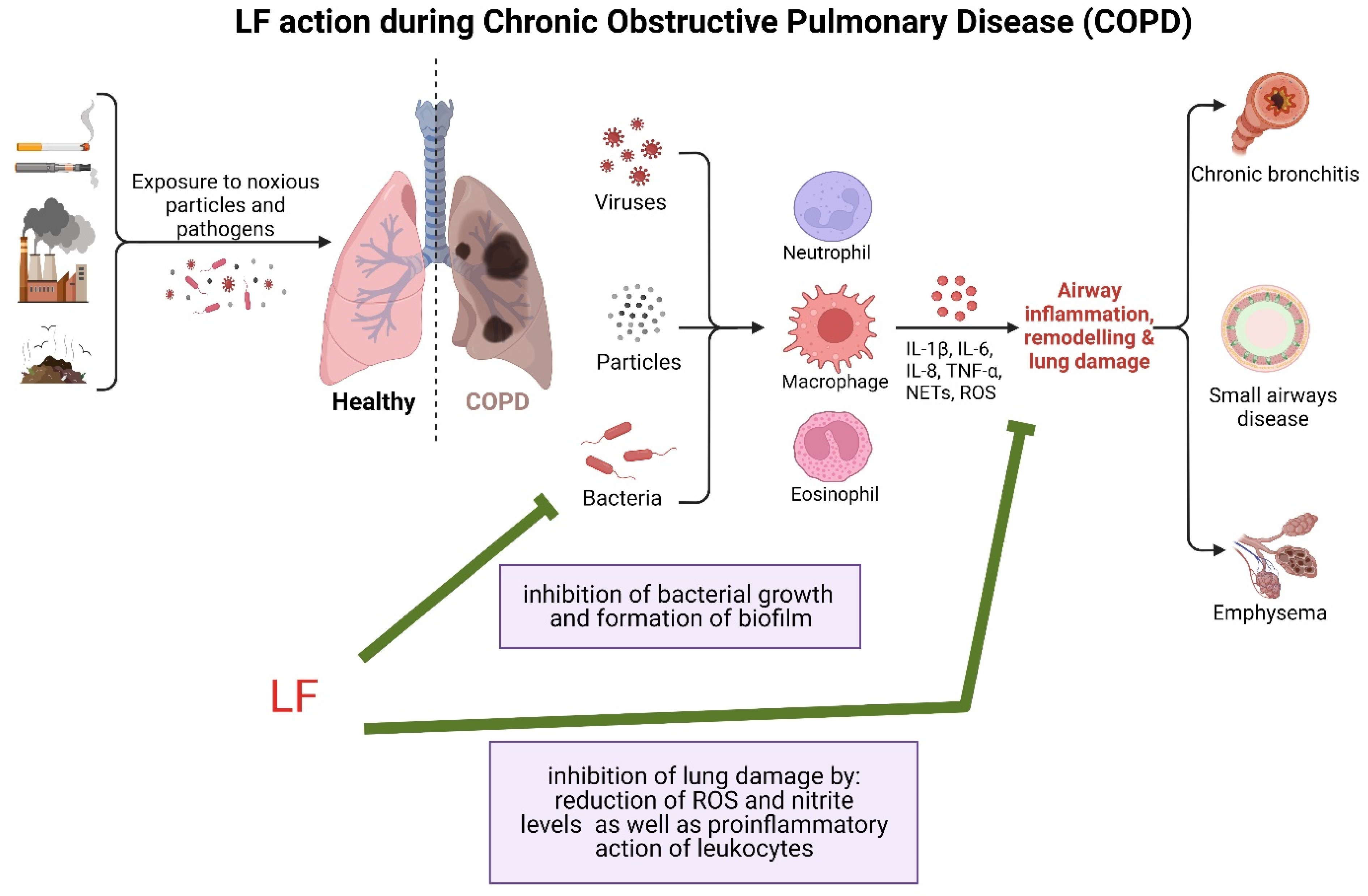 Pharmaceuticals 16 00192 g002