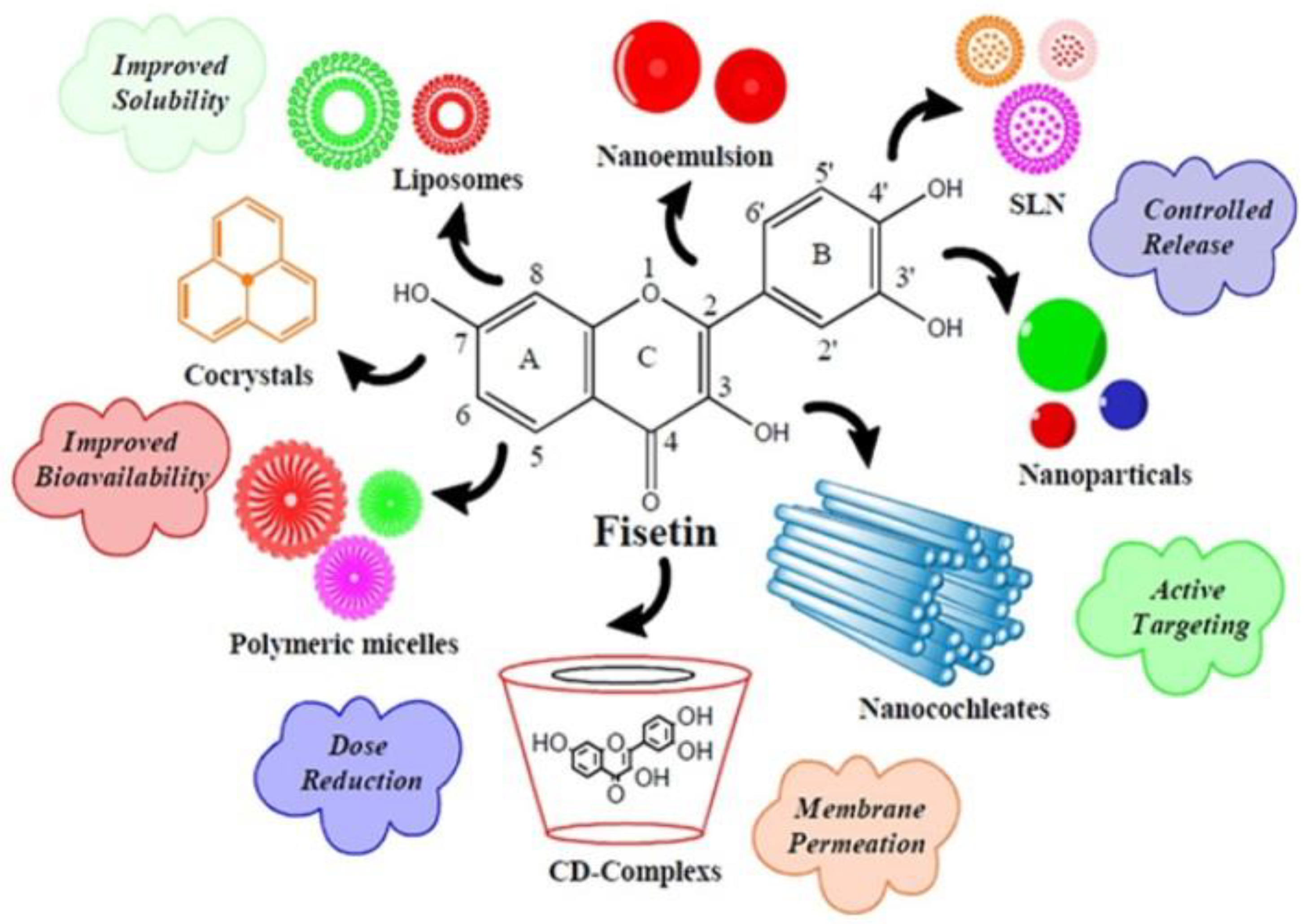 Pharmaceuticals 16 00196 g005 Pharmaceuticals 16 00196 g005