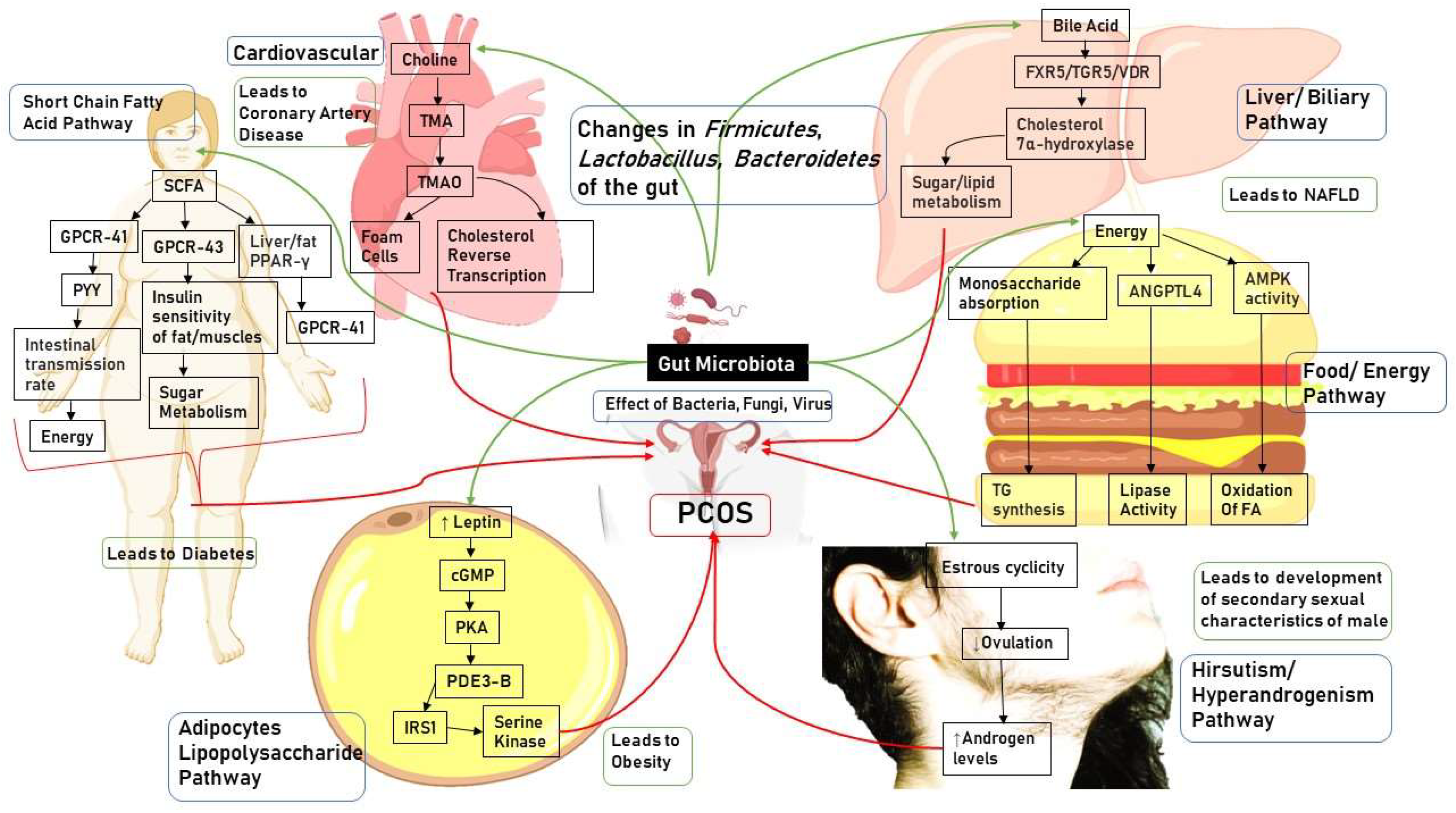 Pharmaceuticals 16 00197 g001 Pharmaceuticals 16 00197 g001