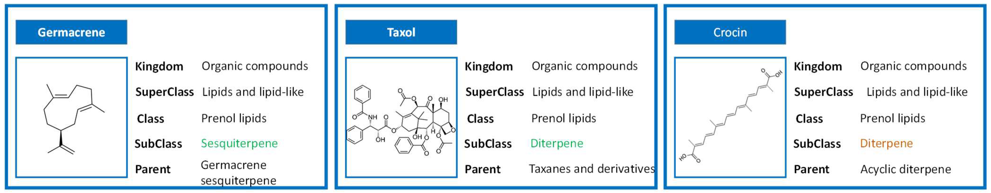 Pharmaceuticals 16 00202 g002