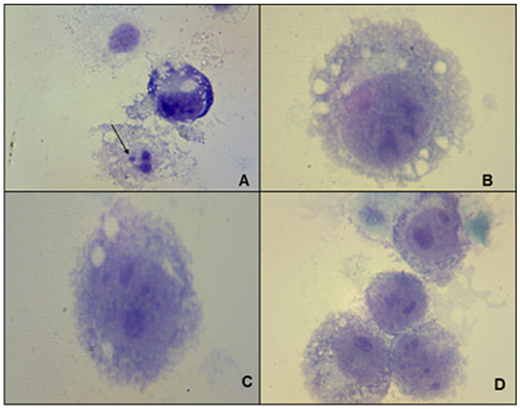 Pharmaceuticals 16 00204 g002