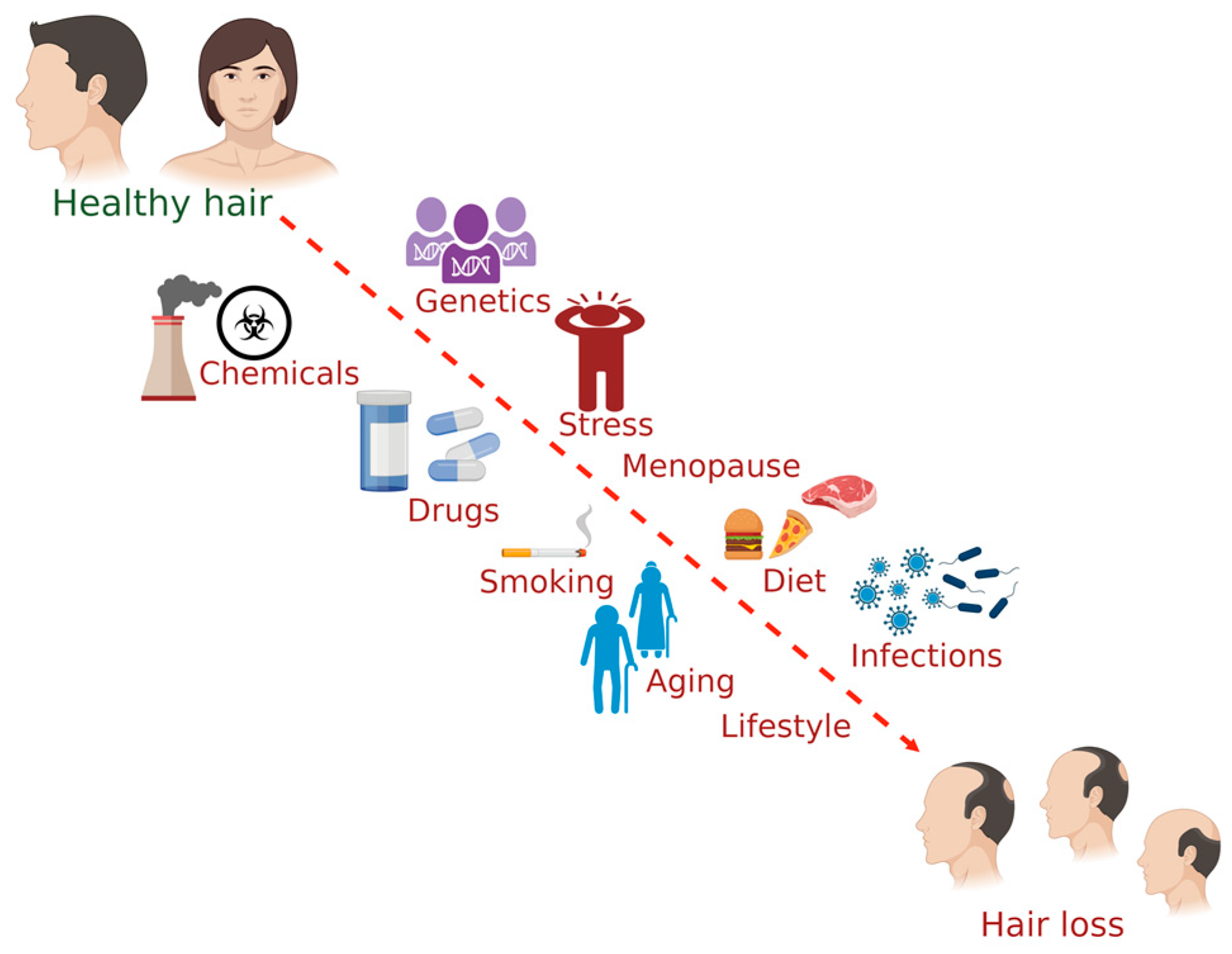 How Estrogen is Related to Hair Growth  and Hair Loss  Womens Midlife  Specialist