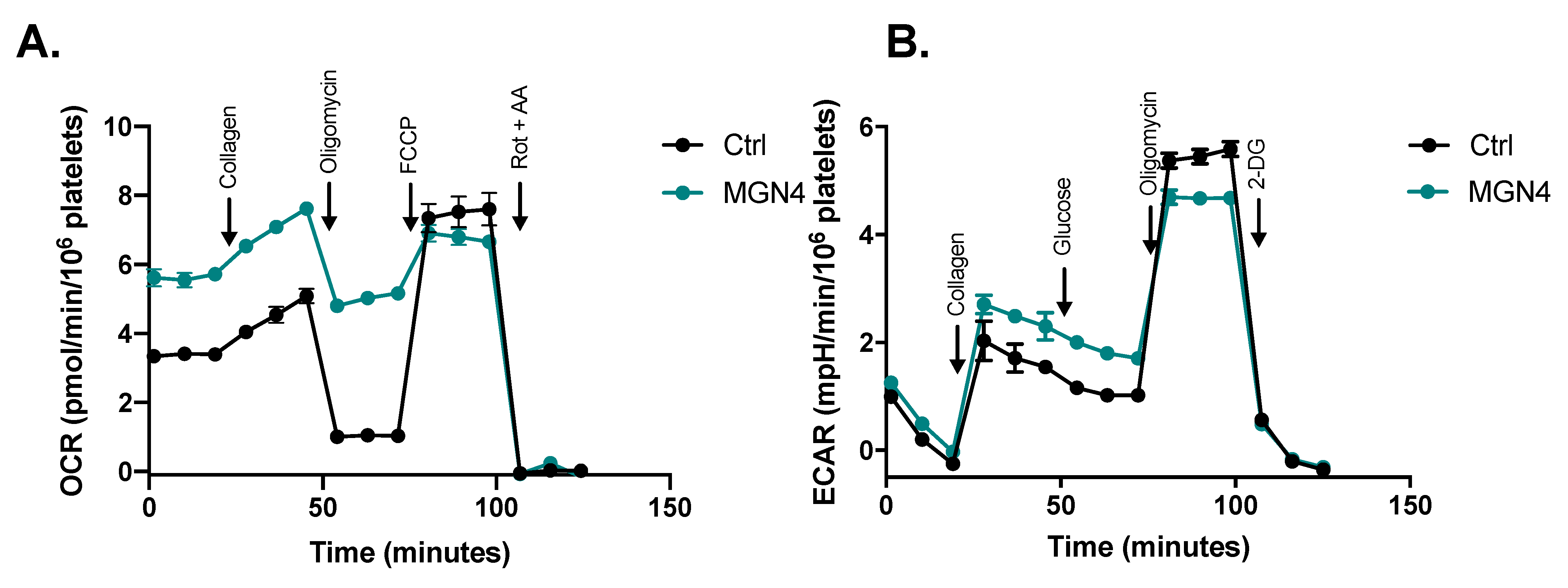 Pharmaceuticals 16 00210 g005 Pharmaceuticals 16 00210 g005