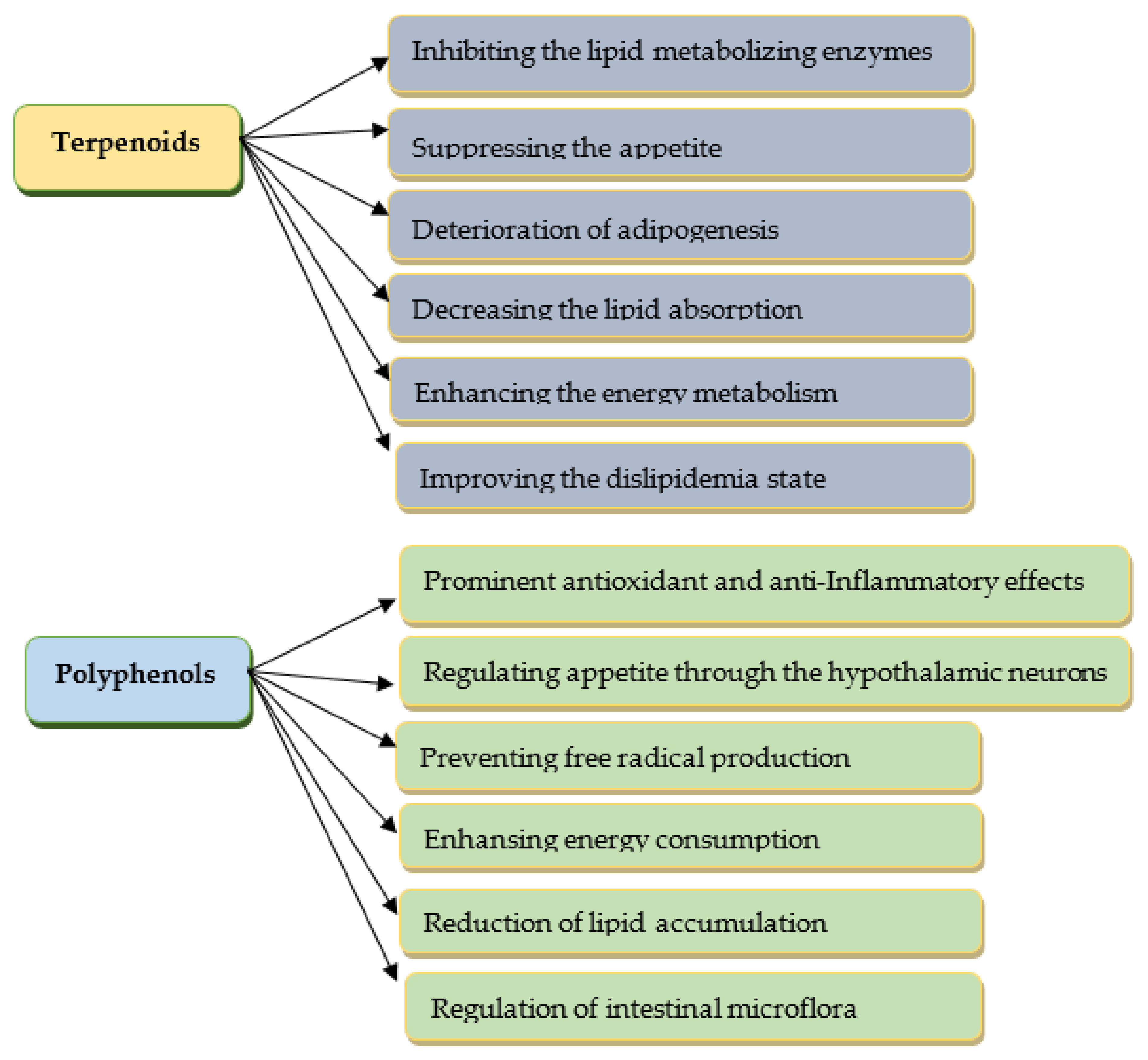 Pharmaceuticals 16 00212 g003