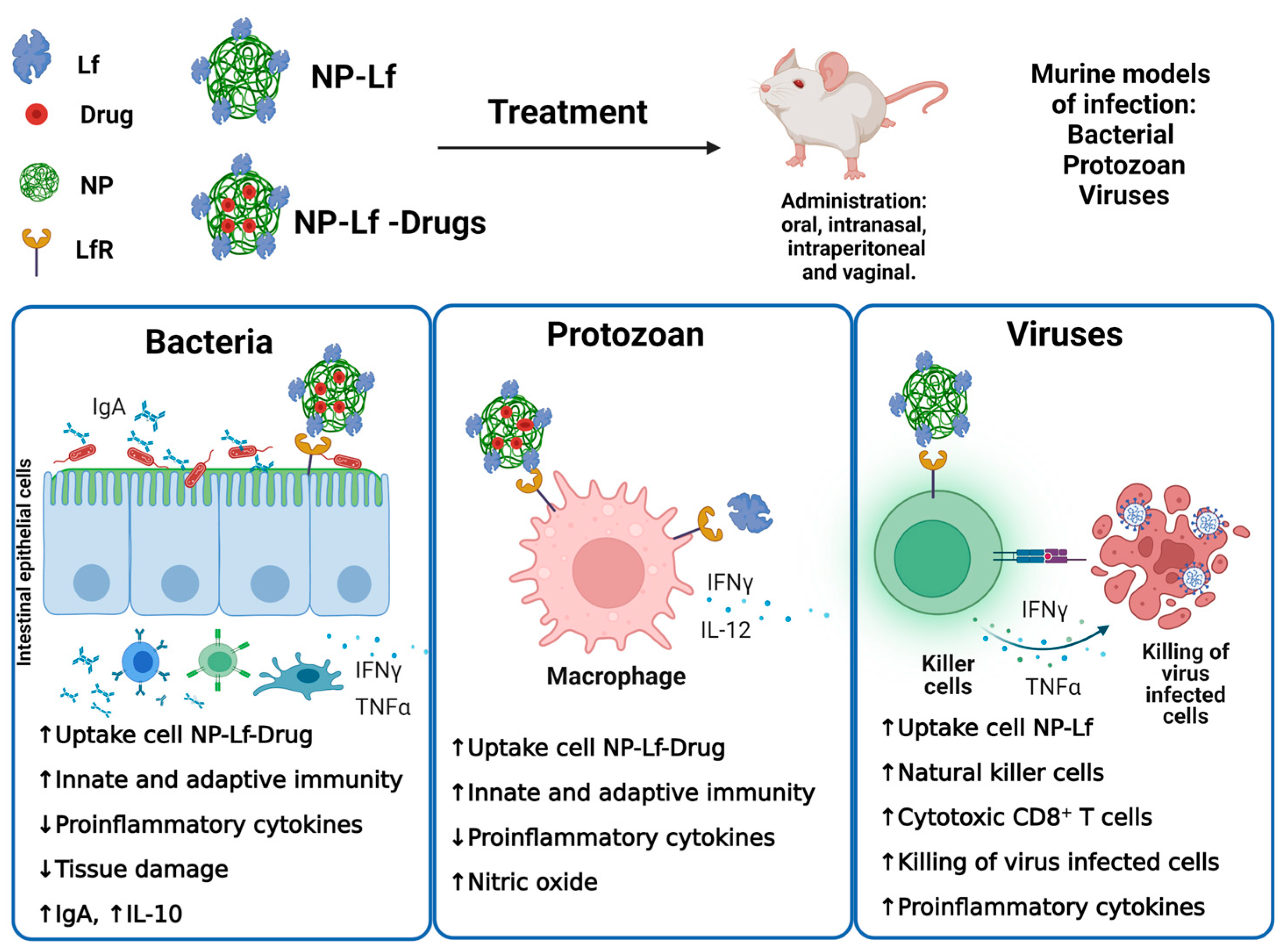 Pharmaceuticals 16 00214 g001