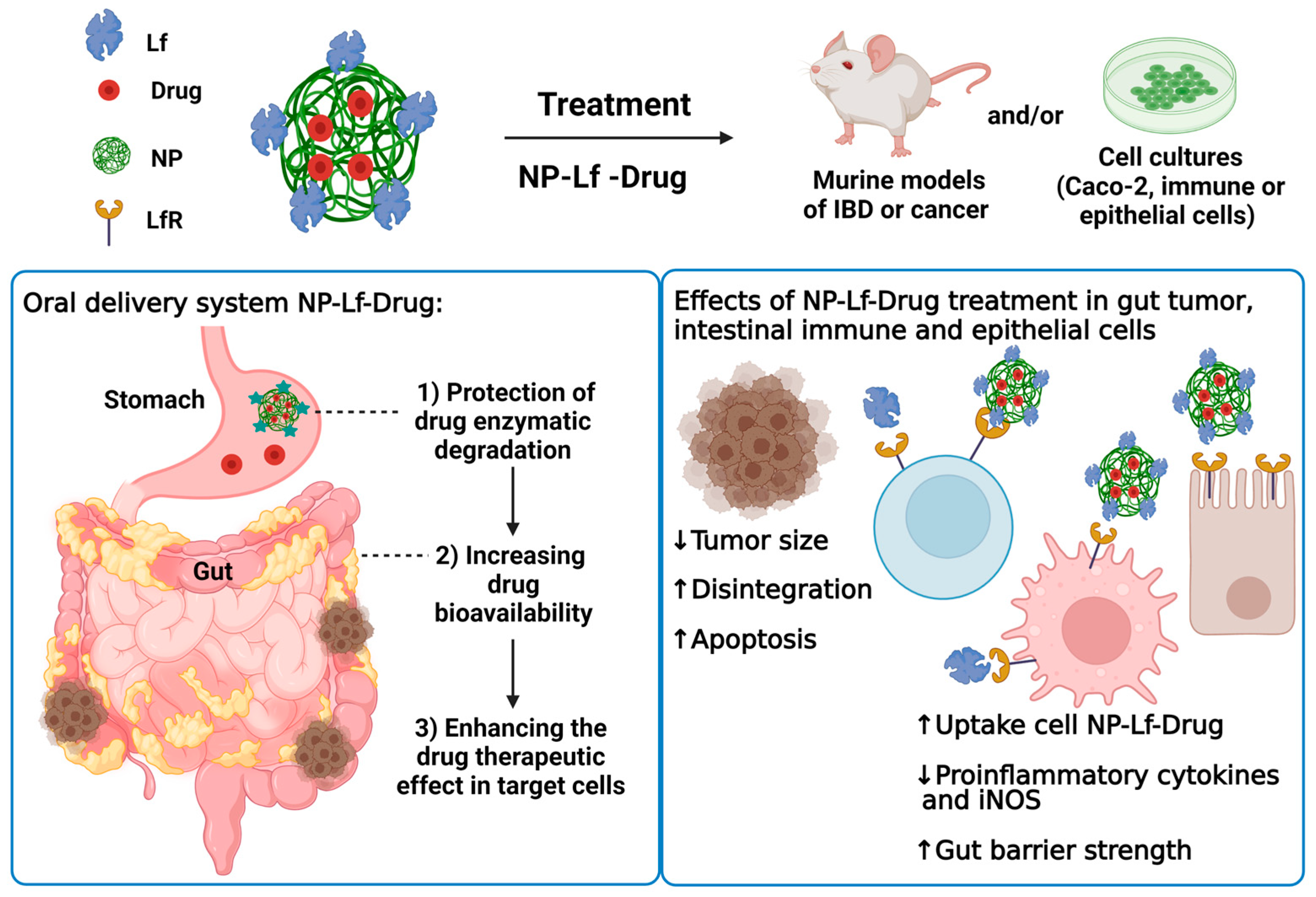 Pharmaceuticals 16 00214 g002