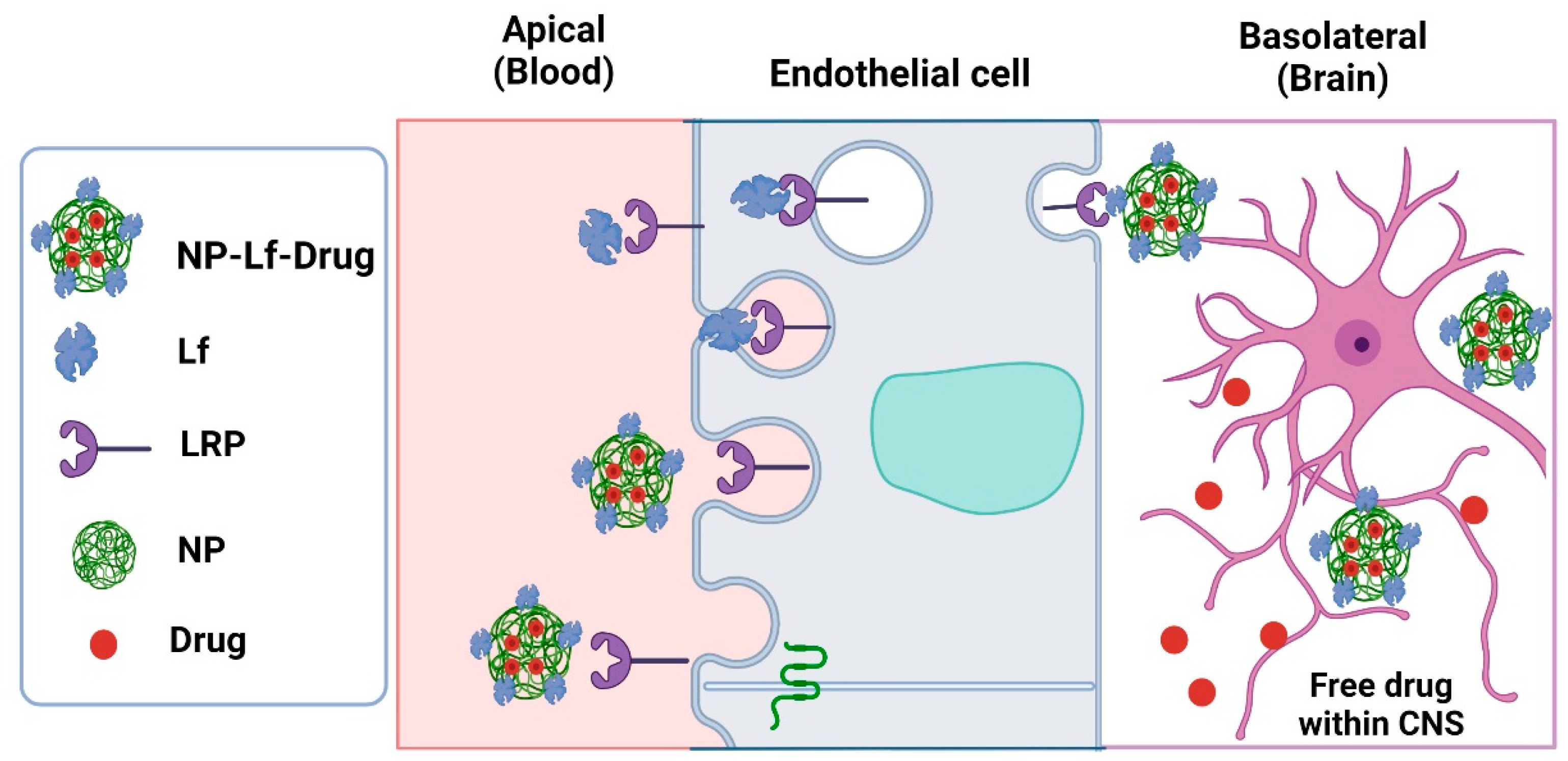 Pharmaceuticals 16 00214 g003