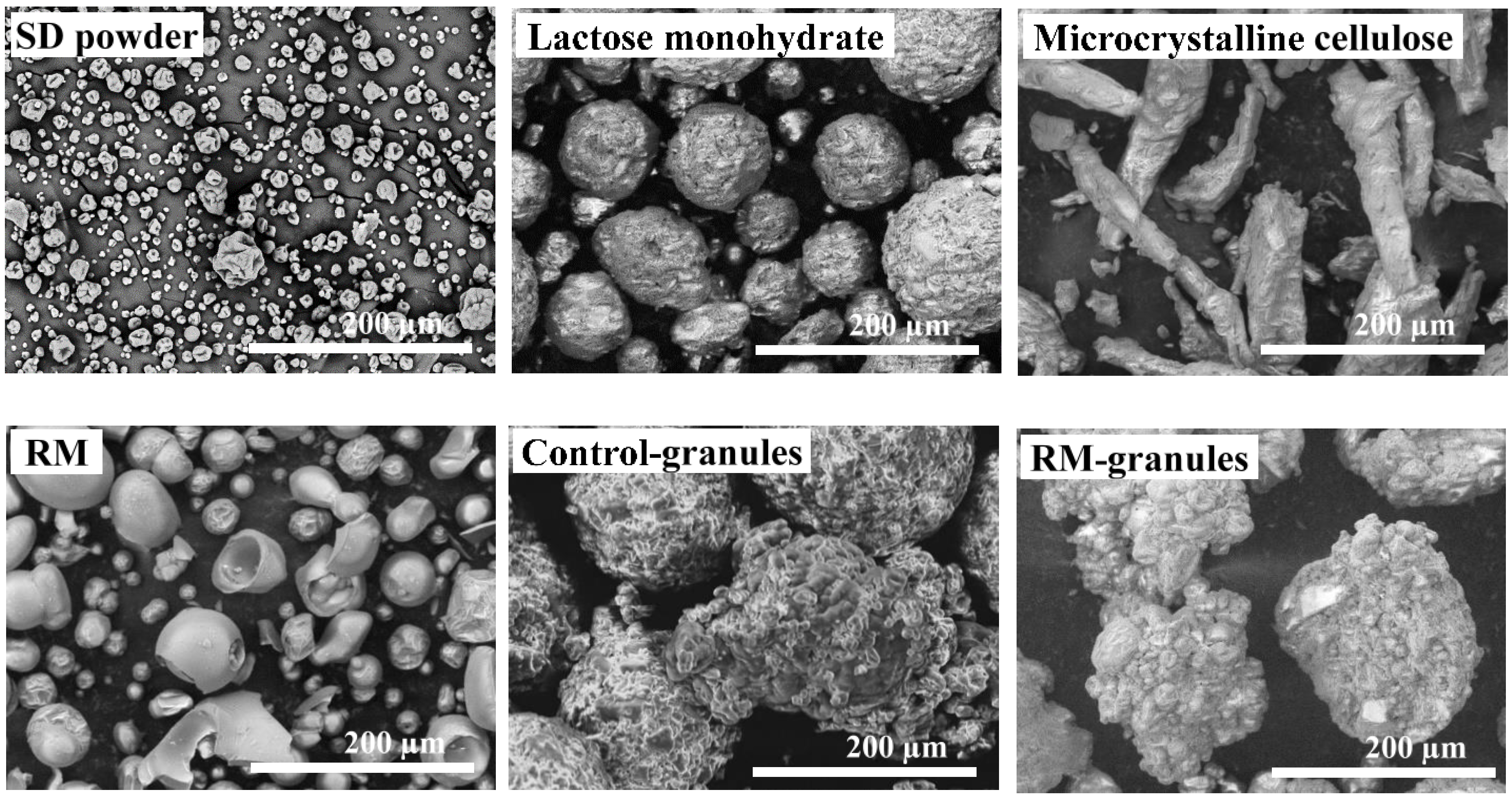 Pharmaceuticals 16 00217 g004 Pharmaceuticals 16 00217 g004