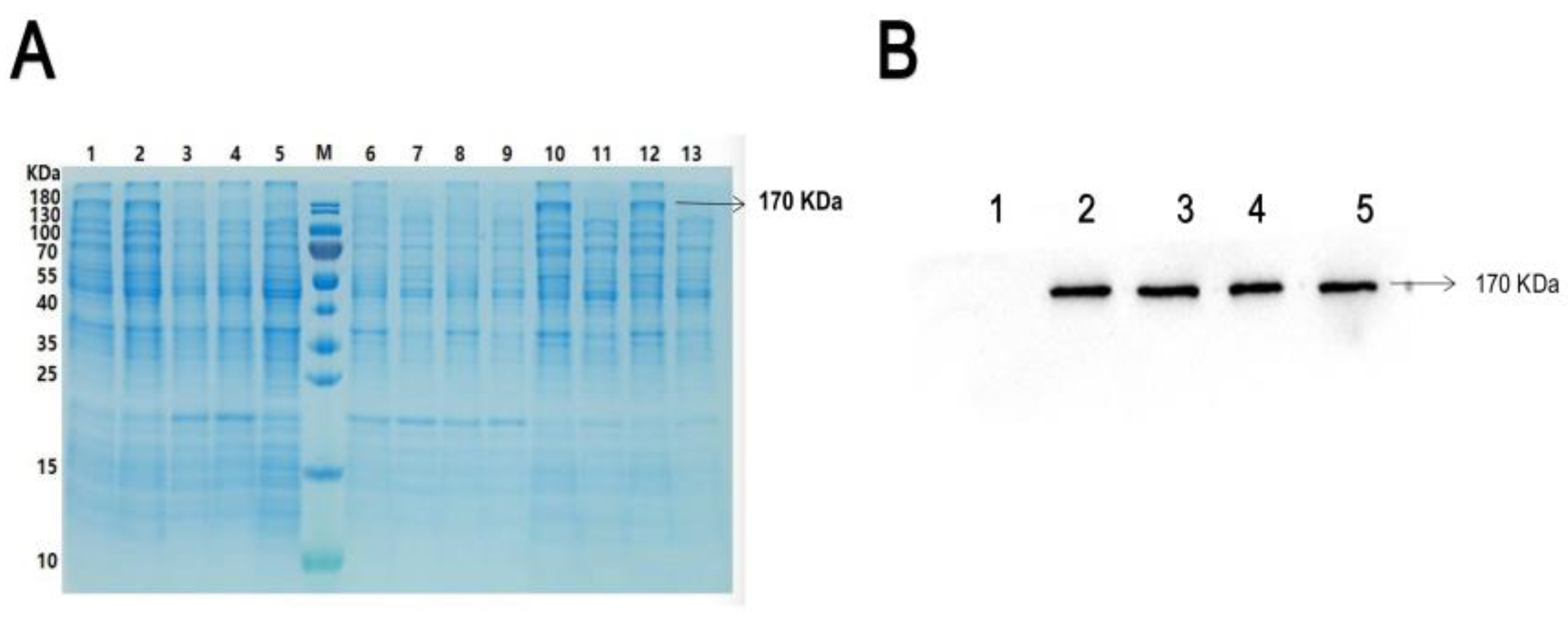 Pharmaceuticals 16 00218 g001