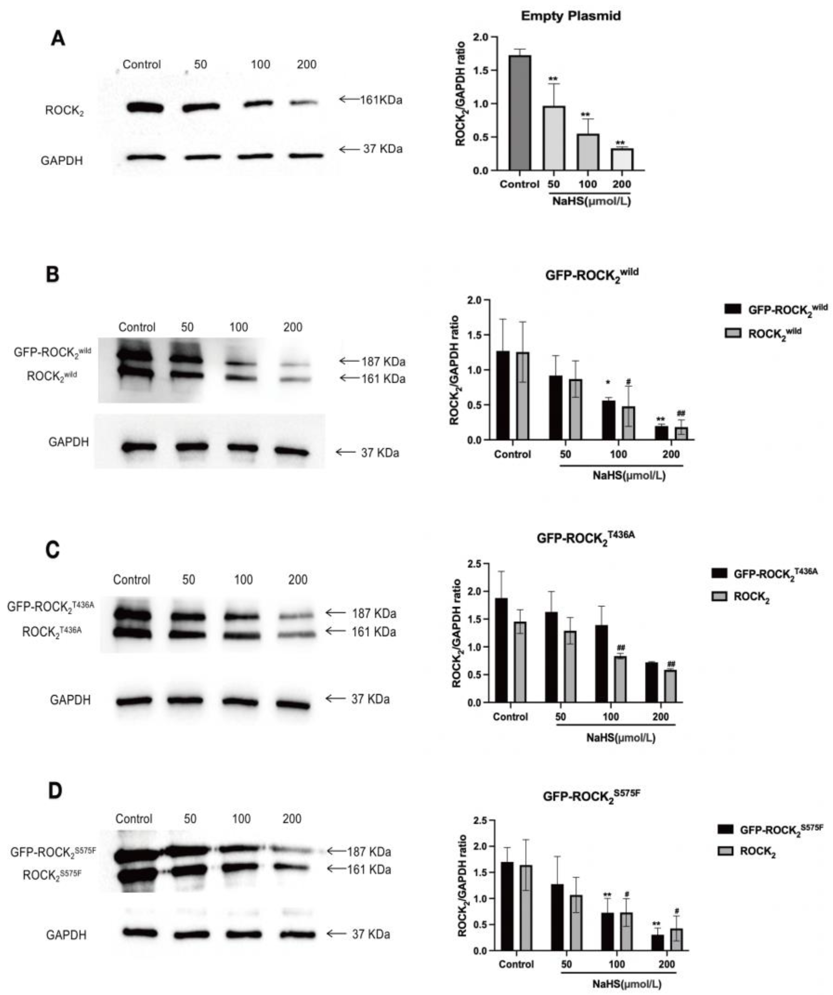 Pharmaceuticals 16 00218 g004