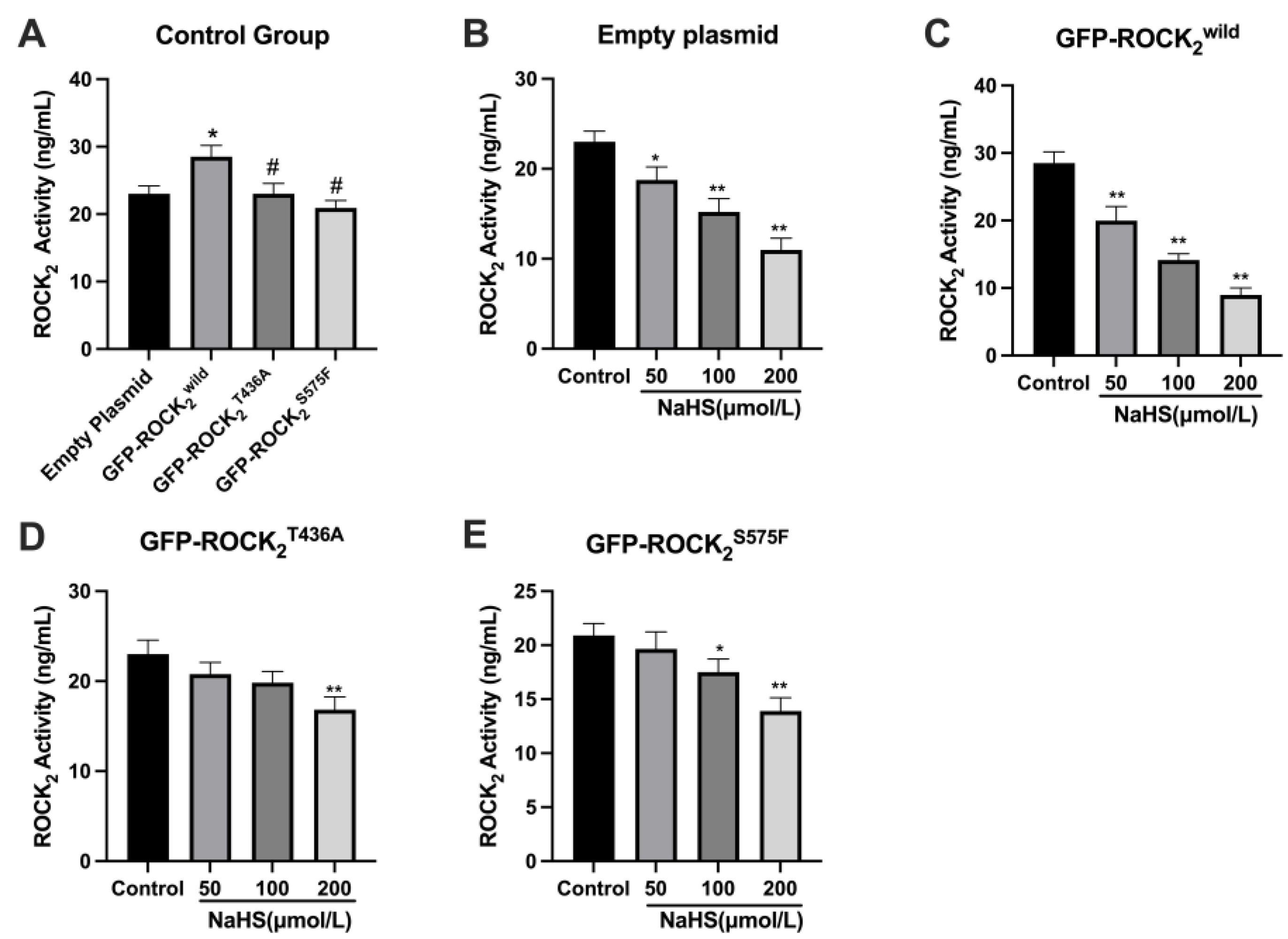 Pharmaceuticals 16 00218 g005