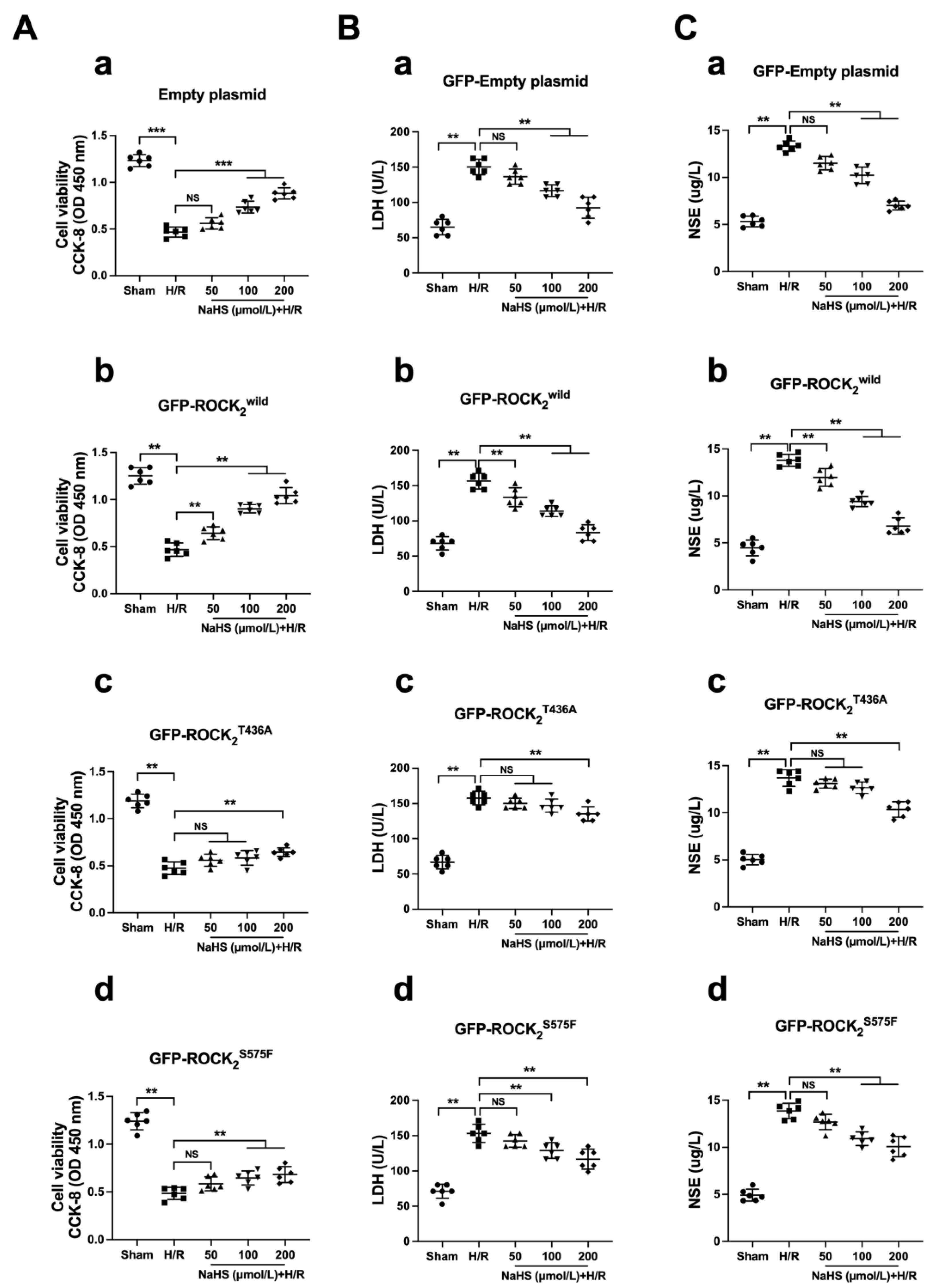 Pharmaceuticals 16 00218 g006