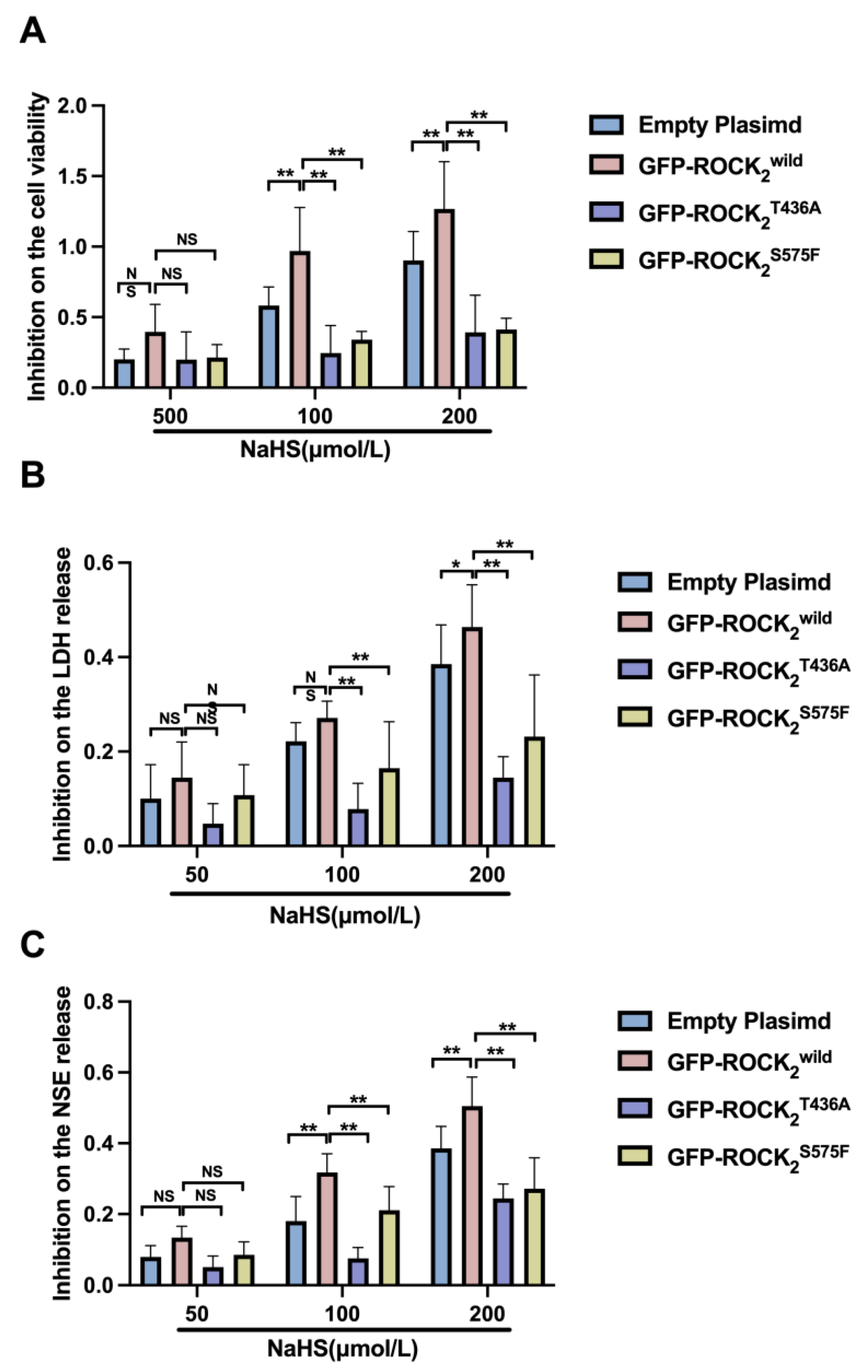 Pharmaceuticals 16 00218 g007