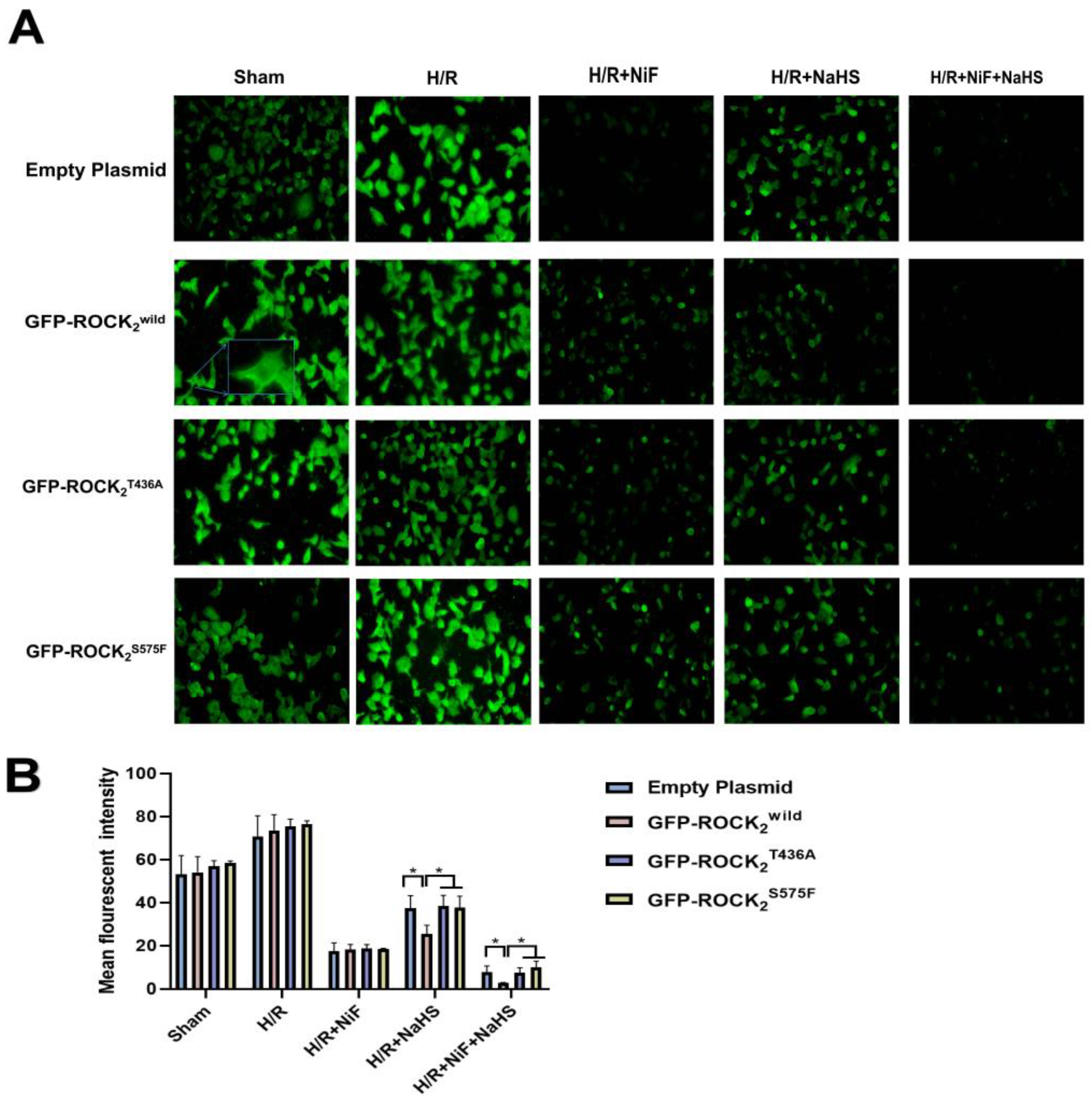 Pharmaceuticals 16 00218 g008