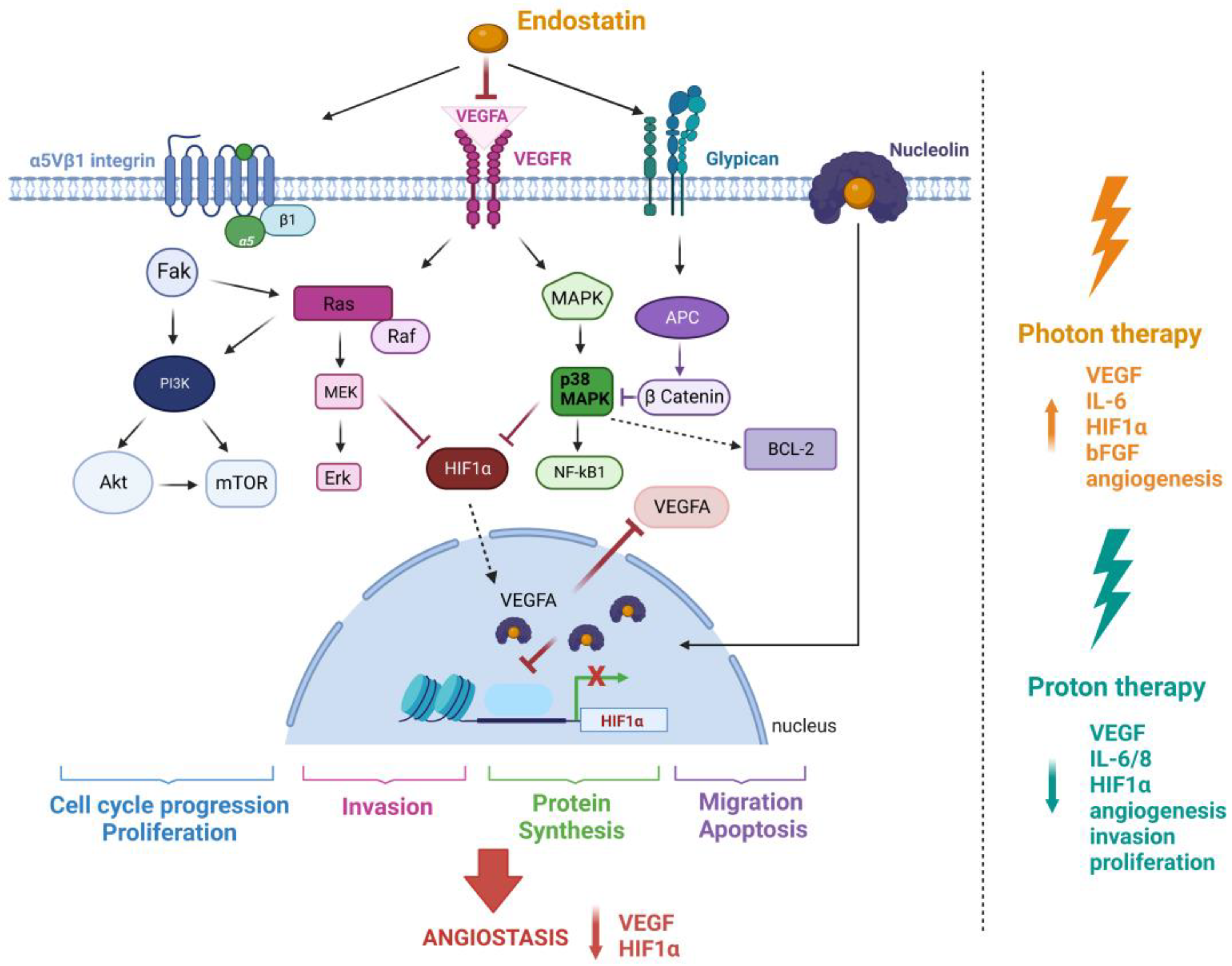 Pharmaceuticals 16 00219 g001 Pharmaceuticals 16 00219 g001