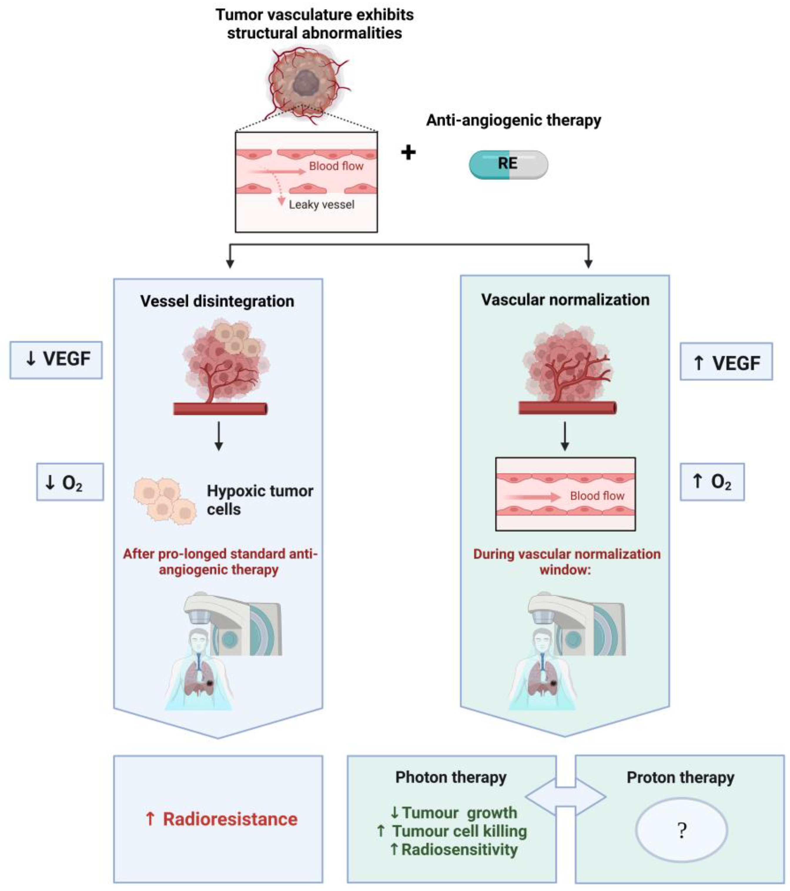 Pharmaceuticals 16 00219 g002 Pharmaceuticals 16 00219 g002