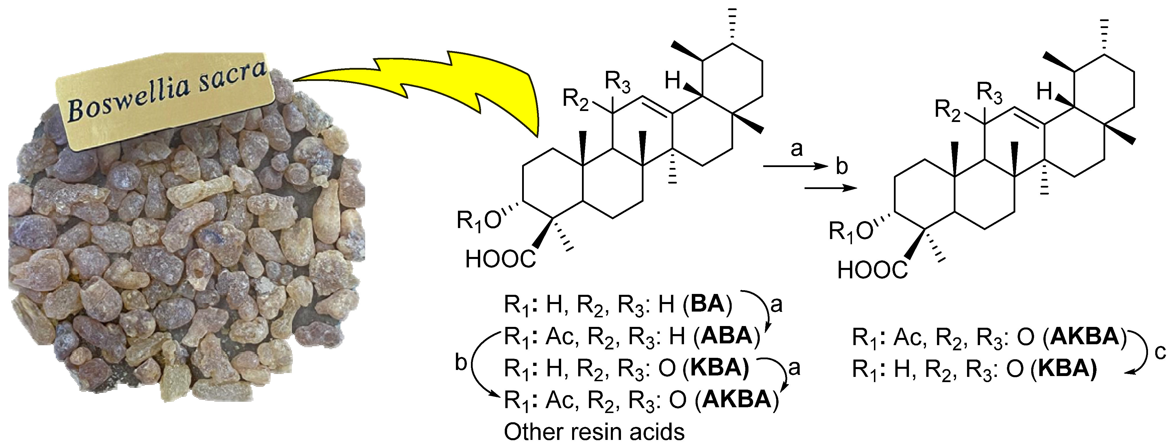 Pharmaceuticals 16 00229 sch001 550