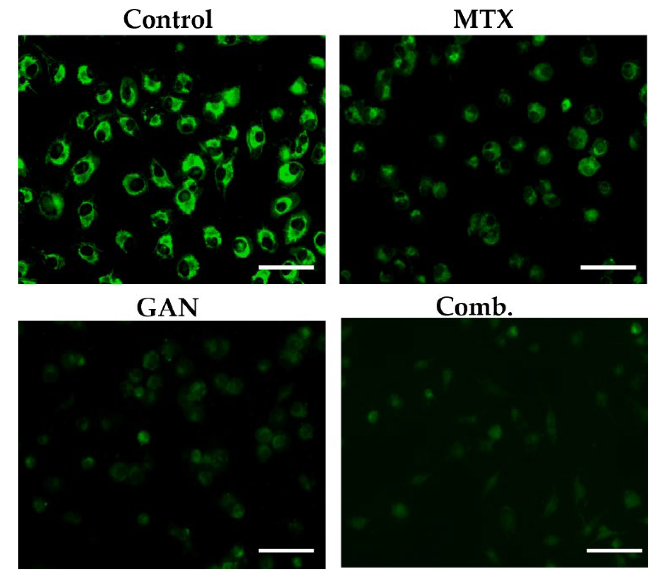 Pharmaceuticals 16 00230 g004 Pharmaceuticals 16 00230 g004