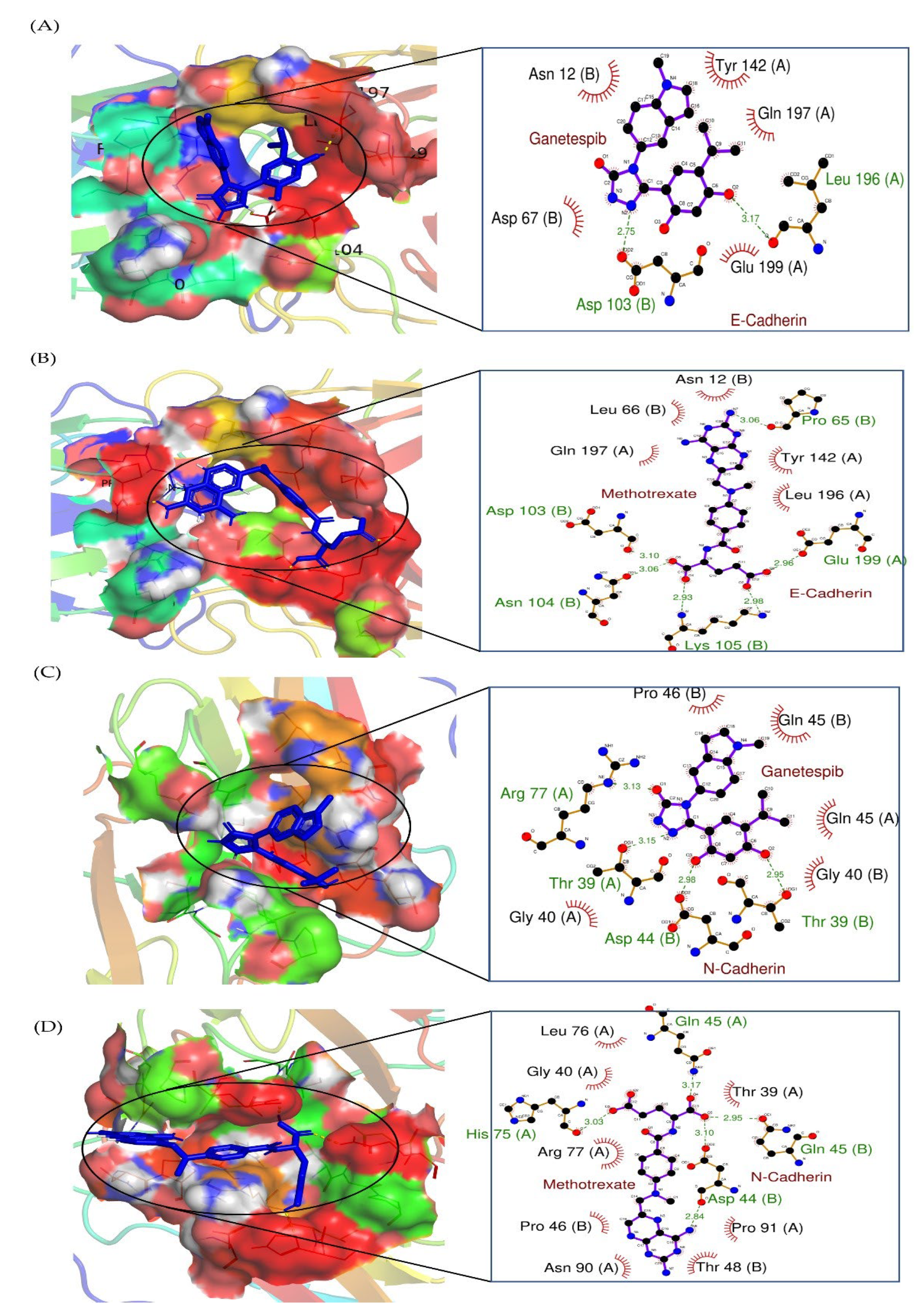Pharmaceuticals 16 00230 g007 Pharmaceuticals 16 00230 g007
