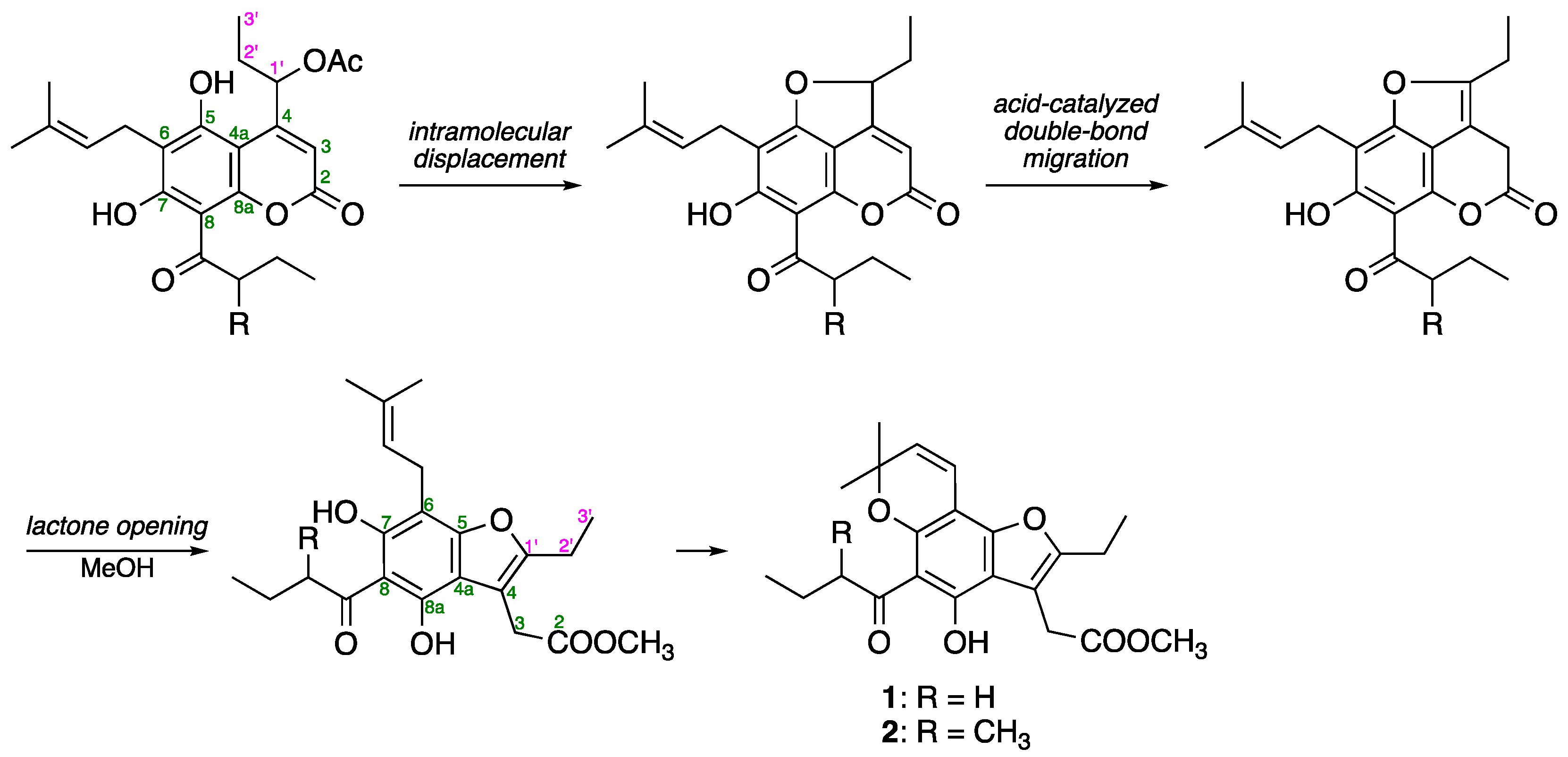 Pharmaceuticals 16 00231 g003