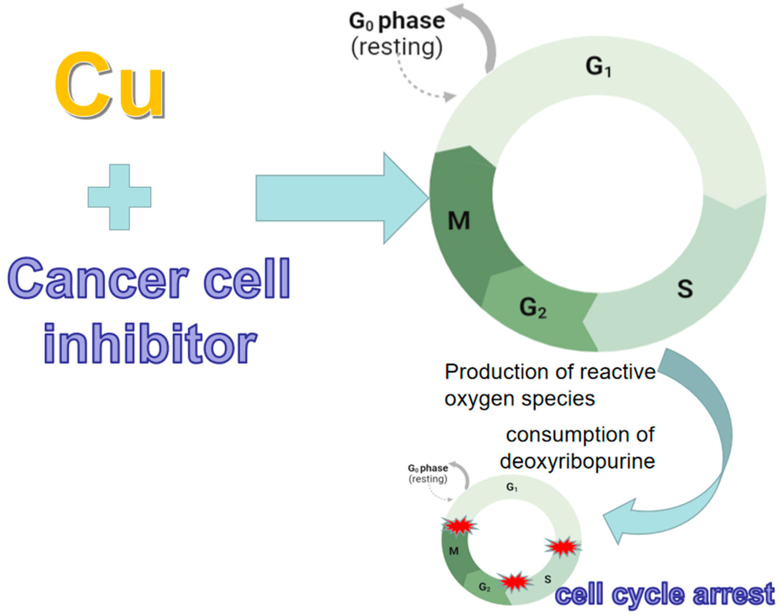 Pharmaceuticals 16 00234 g003