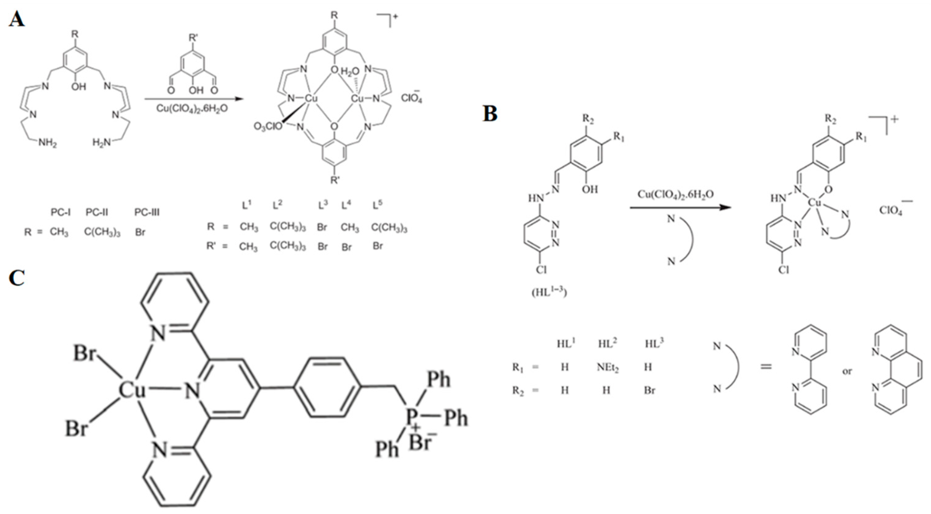 Pharmaceuticals 16 00234 g006