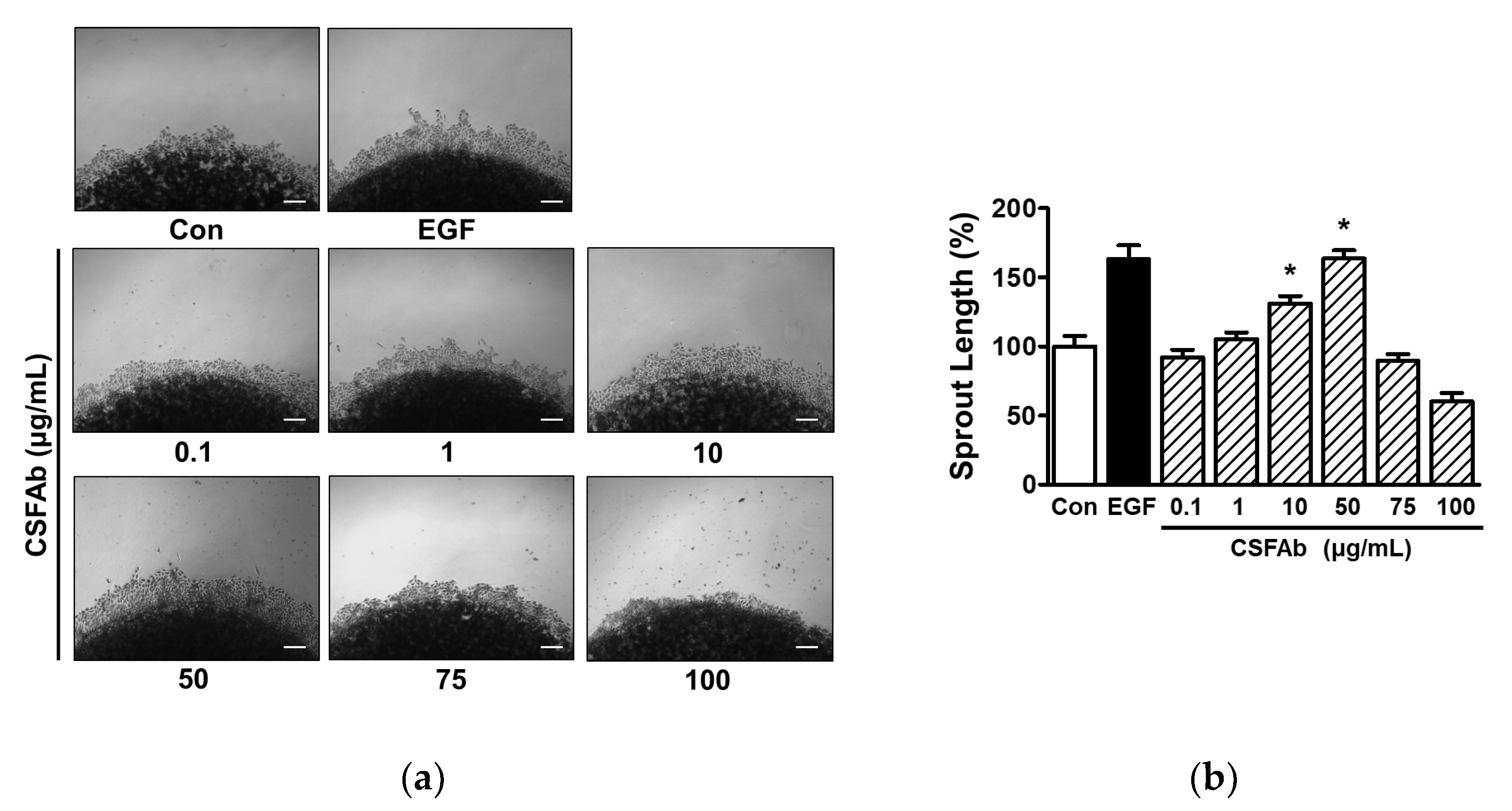 Pharmaceuticals 16 00235 g002