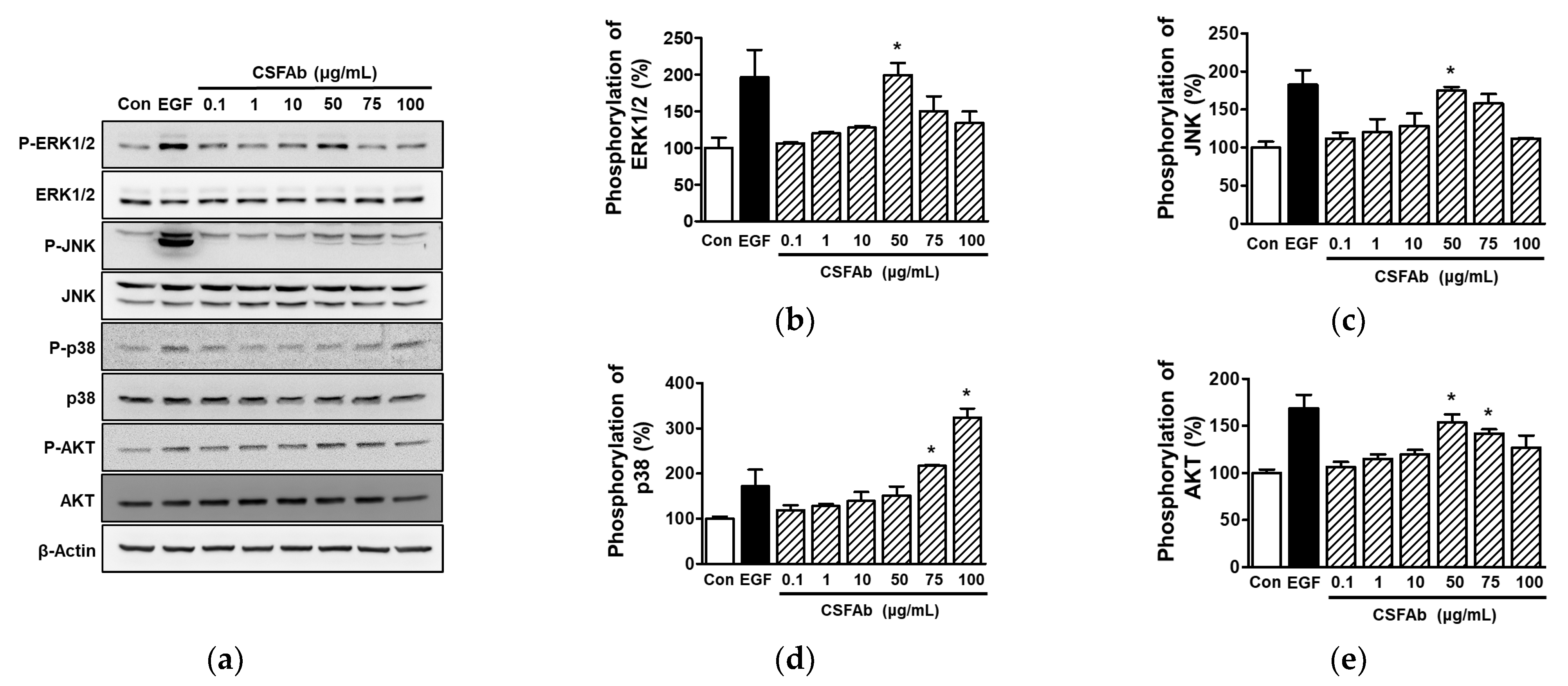 Pharmaceuticals 16 00235 g003
