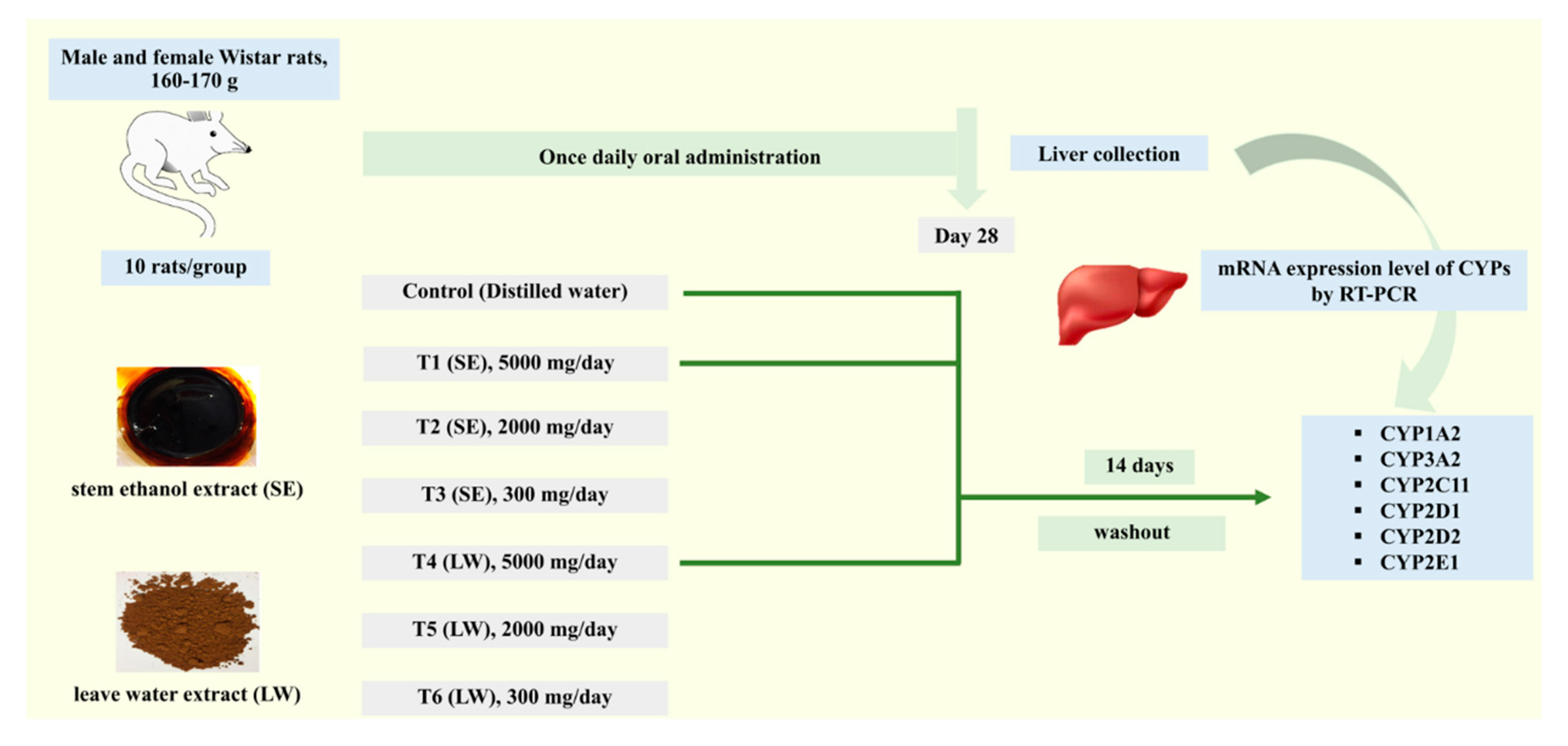 Pharmaceuticals 16 00237 g008