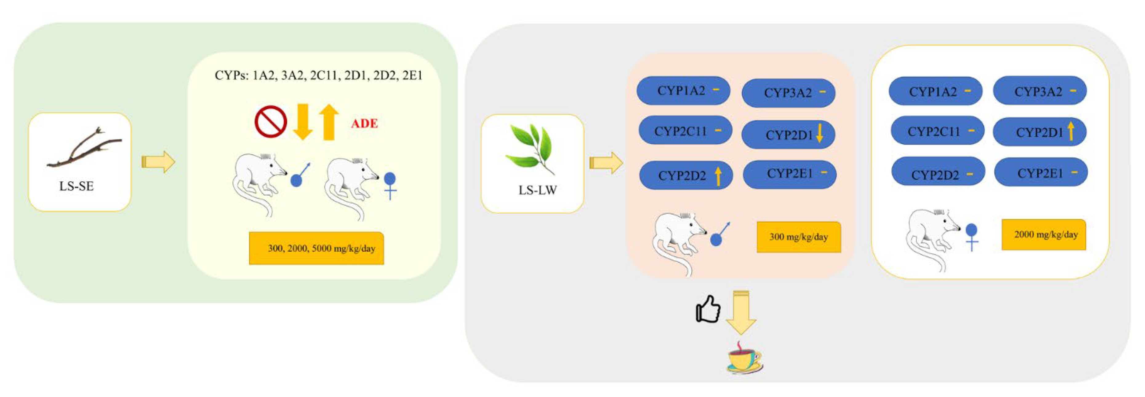Pharmaceuticals 16 00237 g009
