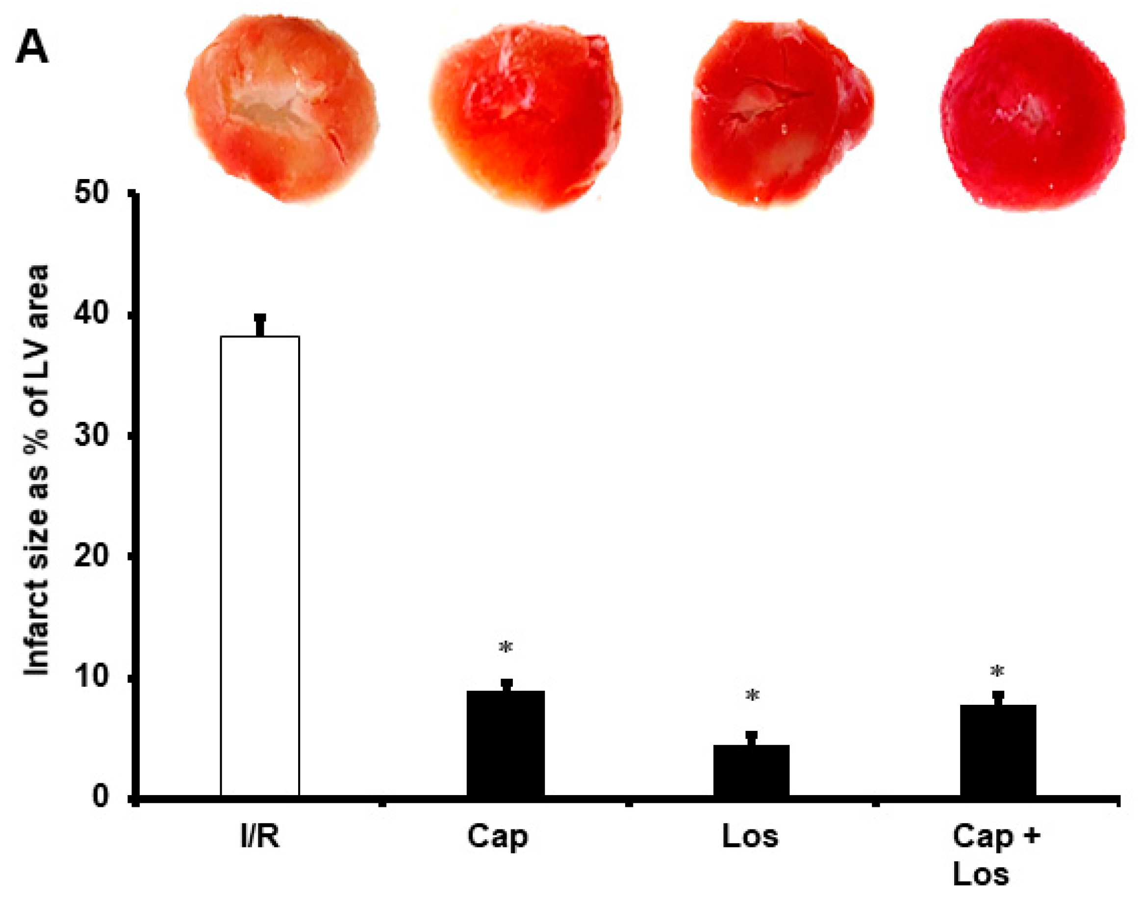 Pharmaceuticals 16 00238 g002a Pharmaceuticals 16 00238 g002a