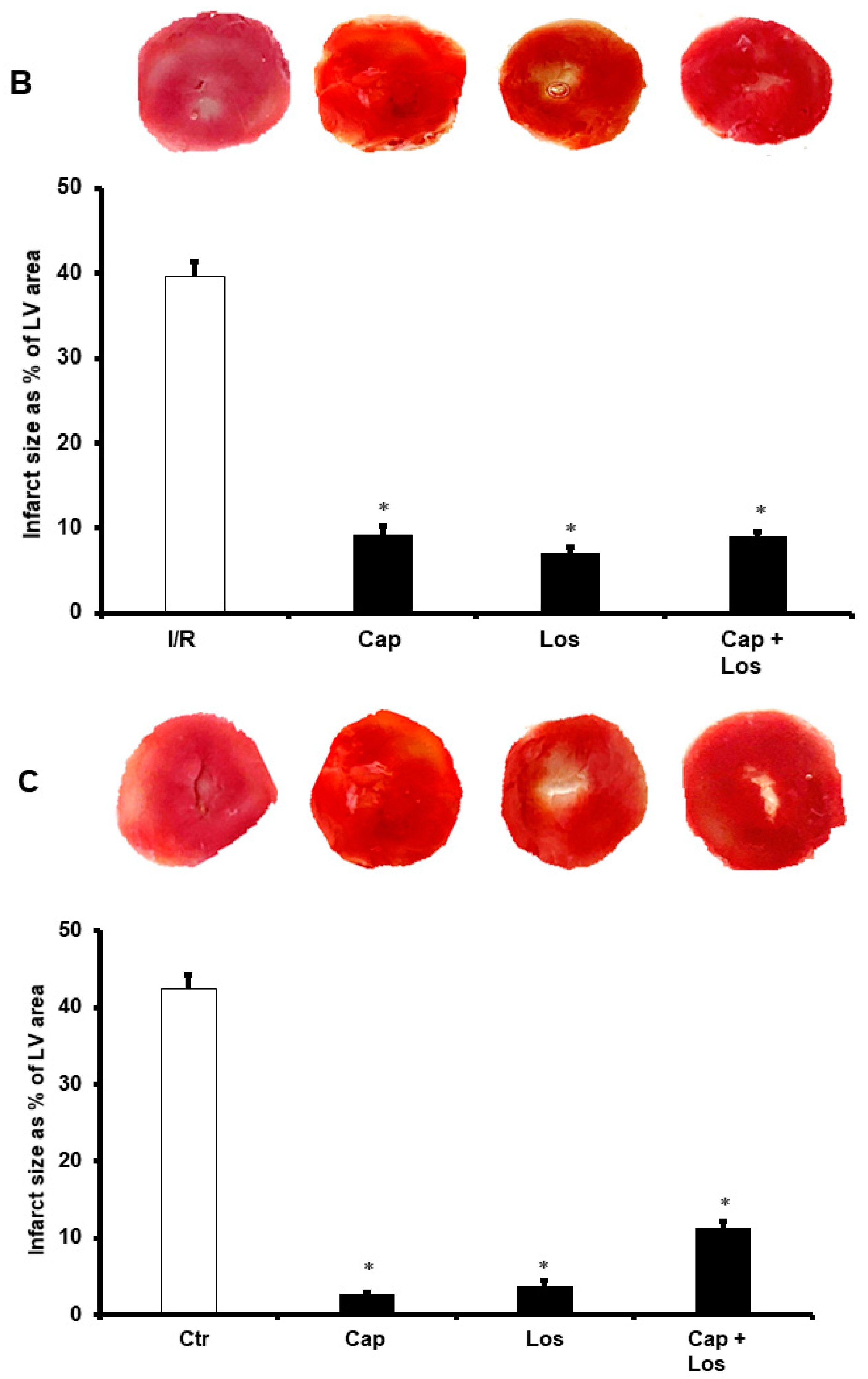 Pharmaceuticals 16 00238 g002b Pharmaceuticals 16 00238 g002b
