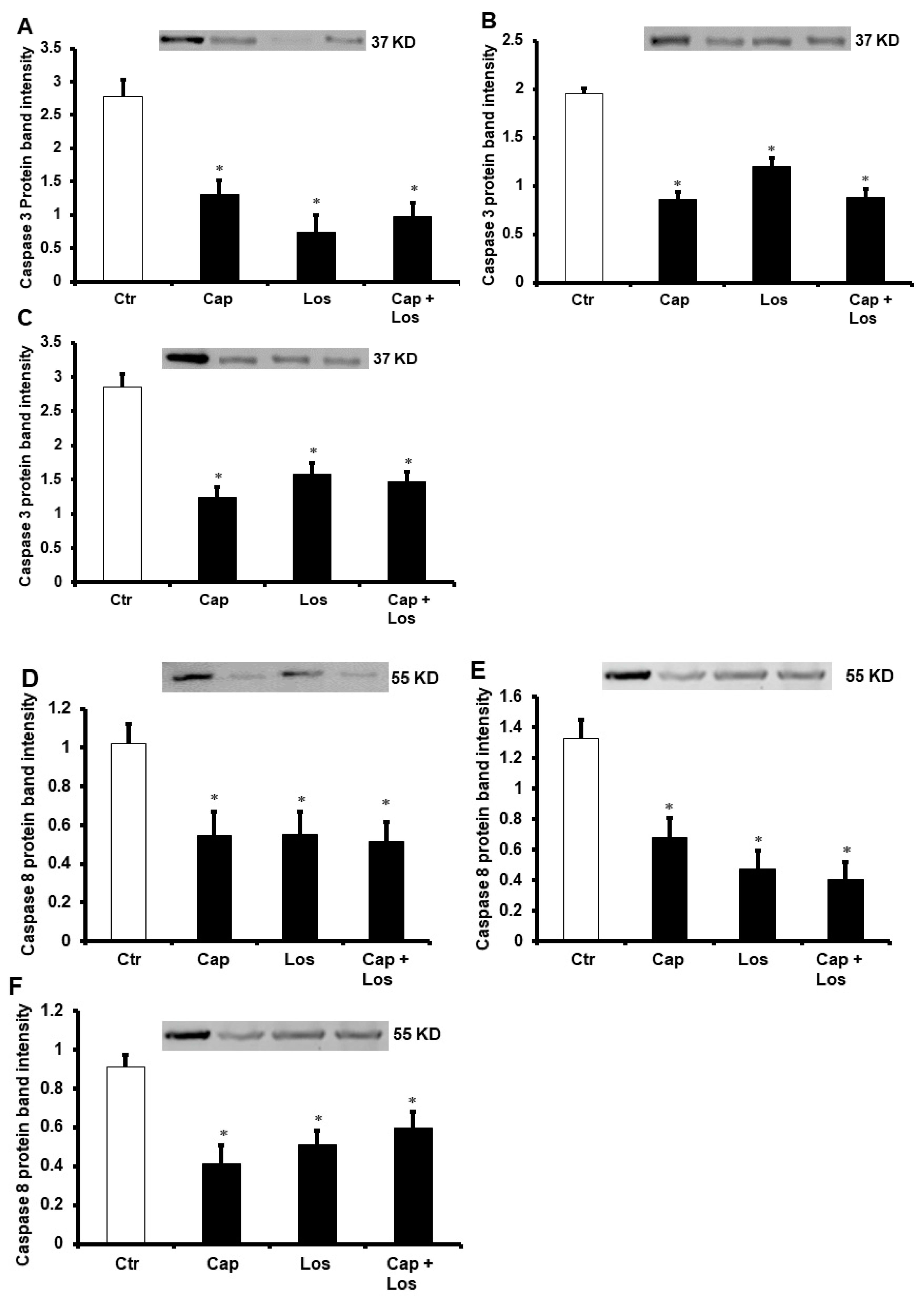 Pharmaceuticals 16 00238 g003 Pharmaceuticals 16 00238 g003