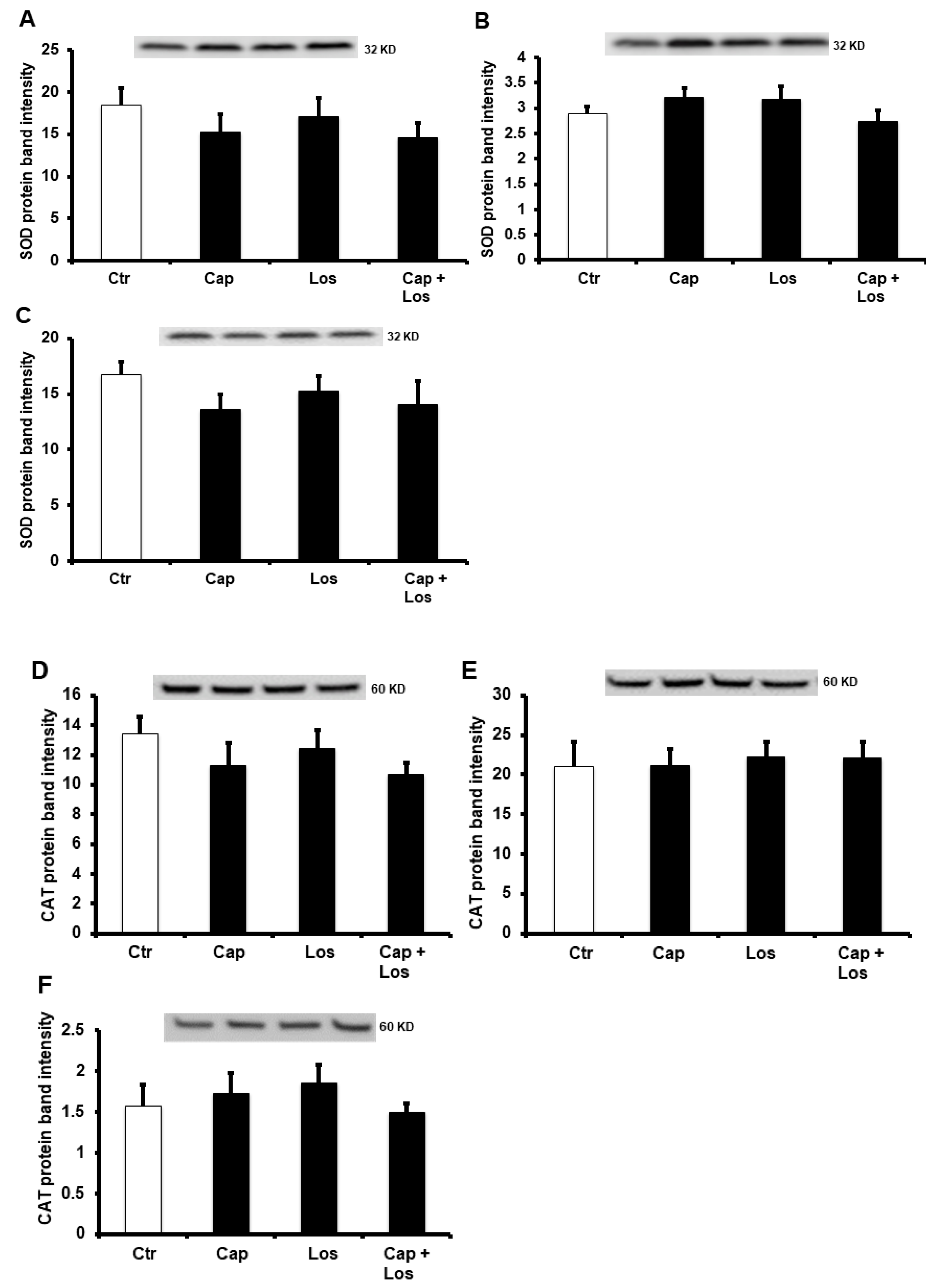 Pharmaceuticals 16 00238 g005 Pharmaceuticals 16 00238 g005
