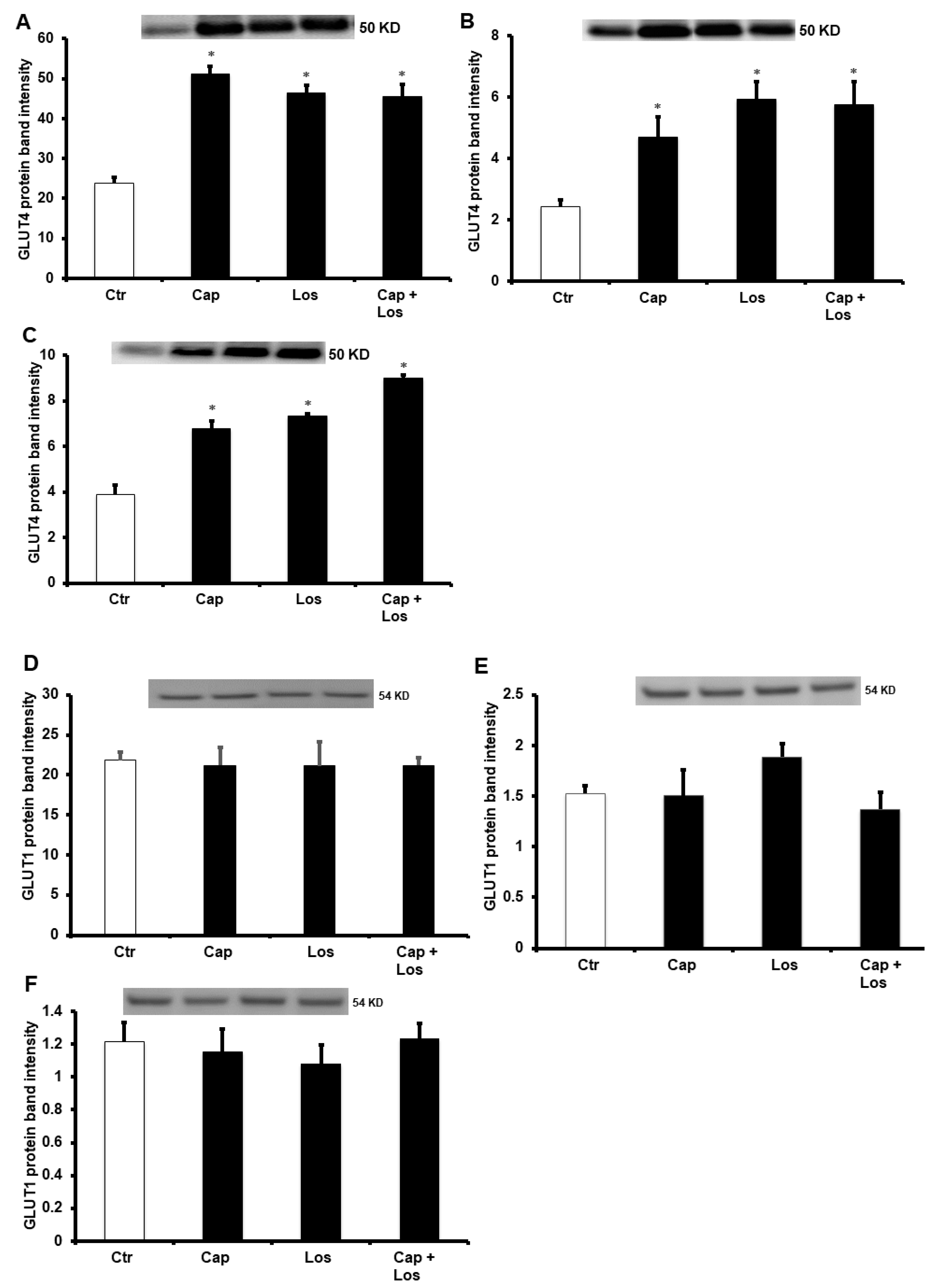 Pharmaceuticals 16 00238 g006 Pharmaceuticals 16 00238 g006