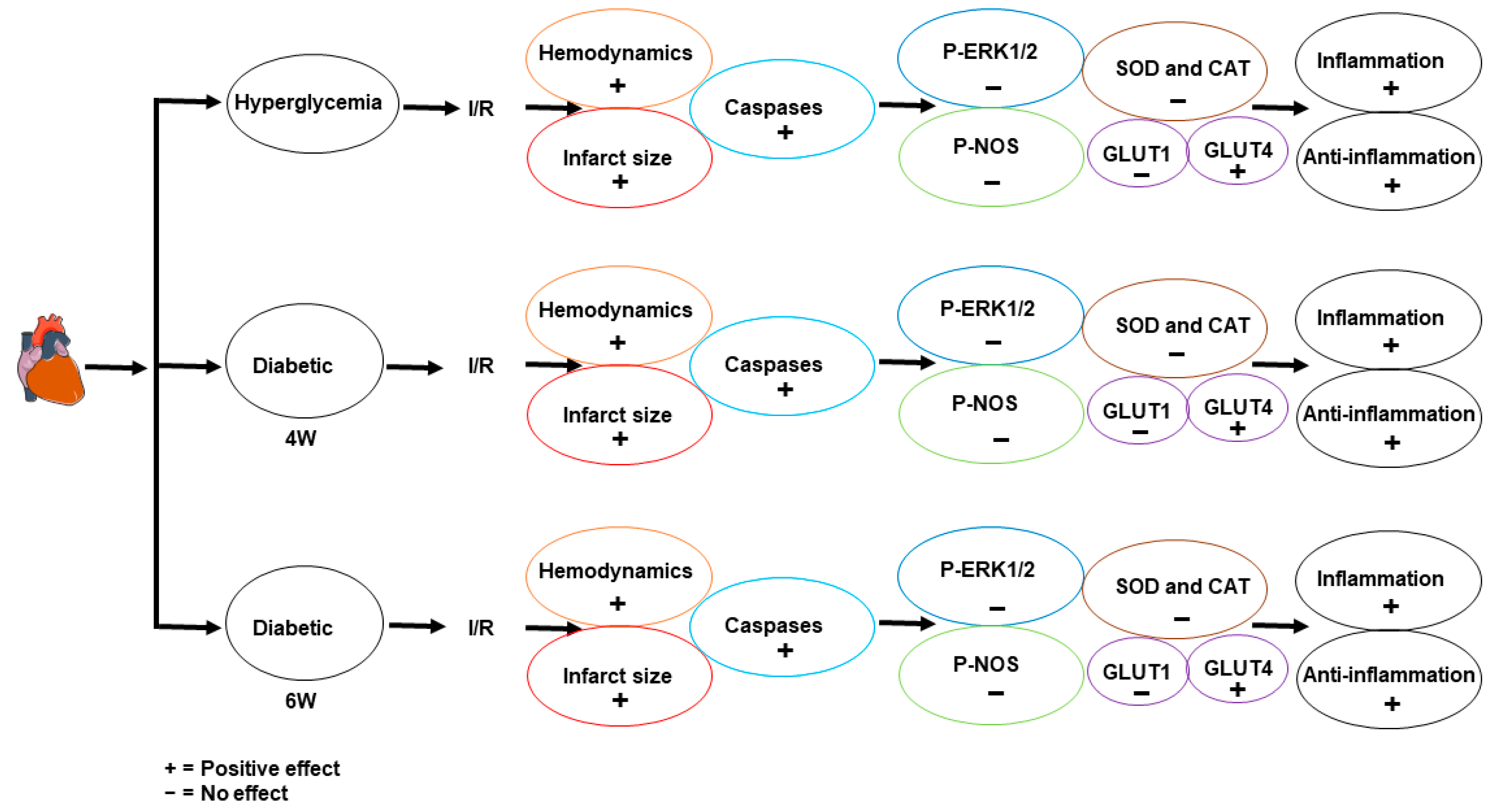 Pharmaceuticals 16 00238 g008 Pharmaceuticals 16 00238 g008