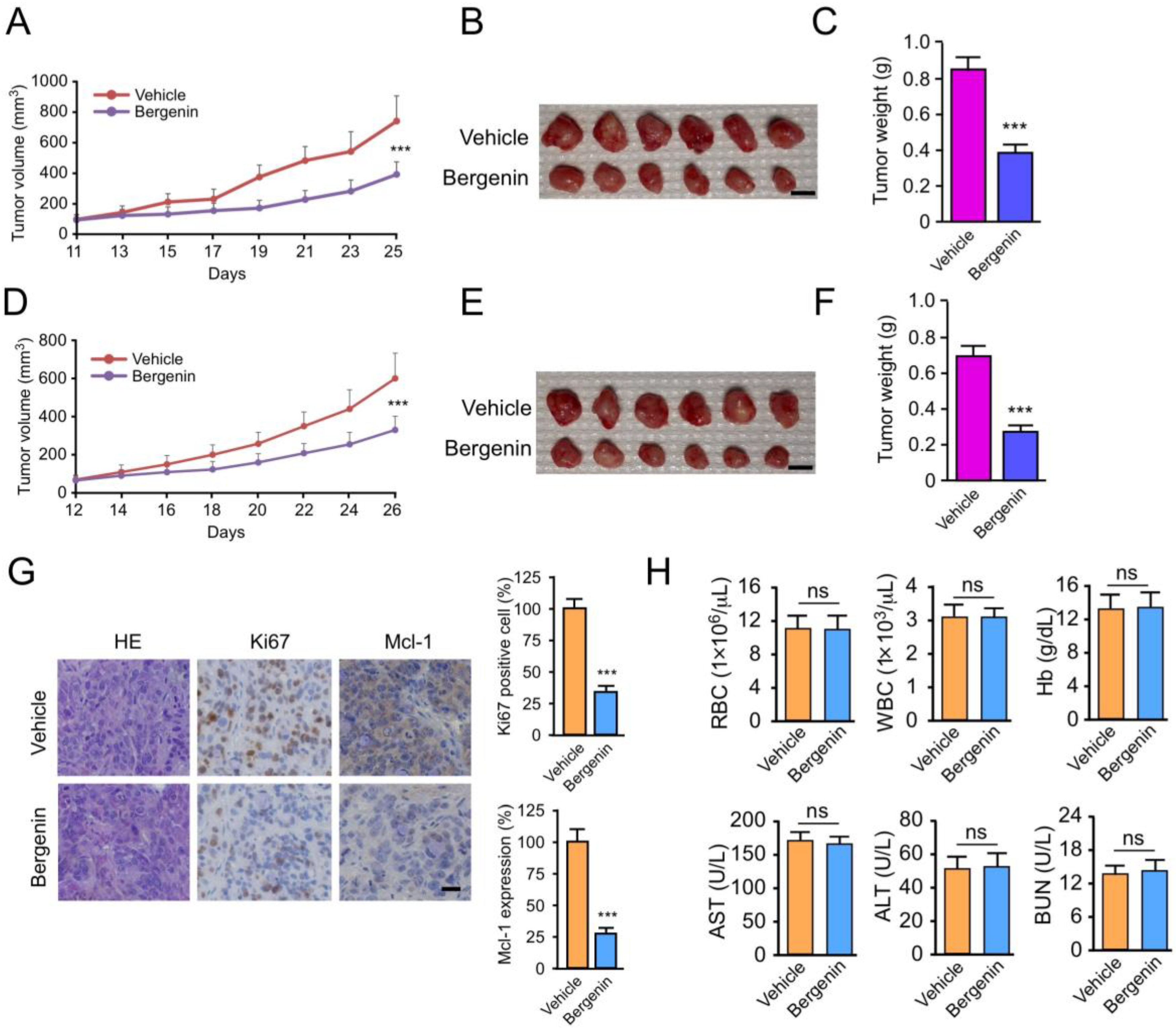 Pharmaceuticals 16 00241 g006