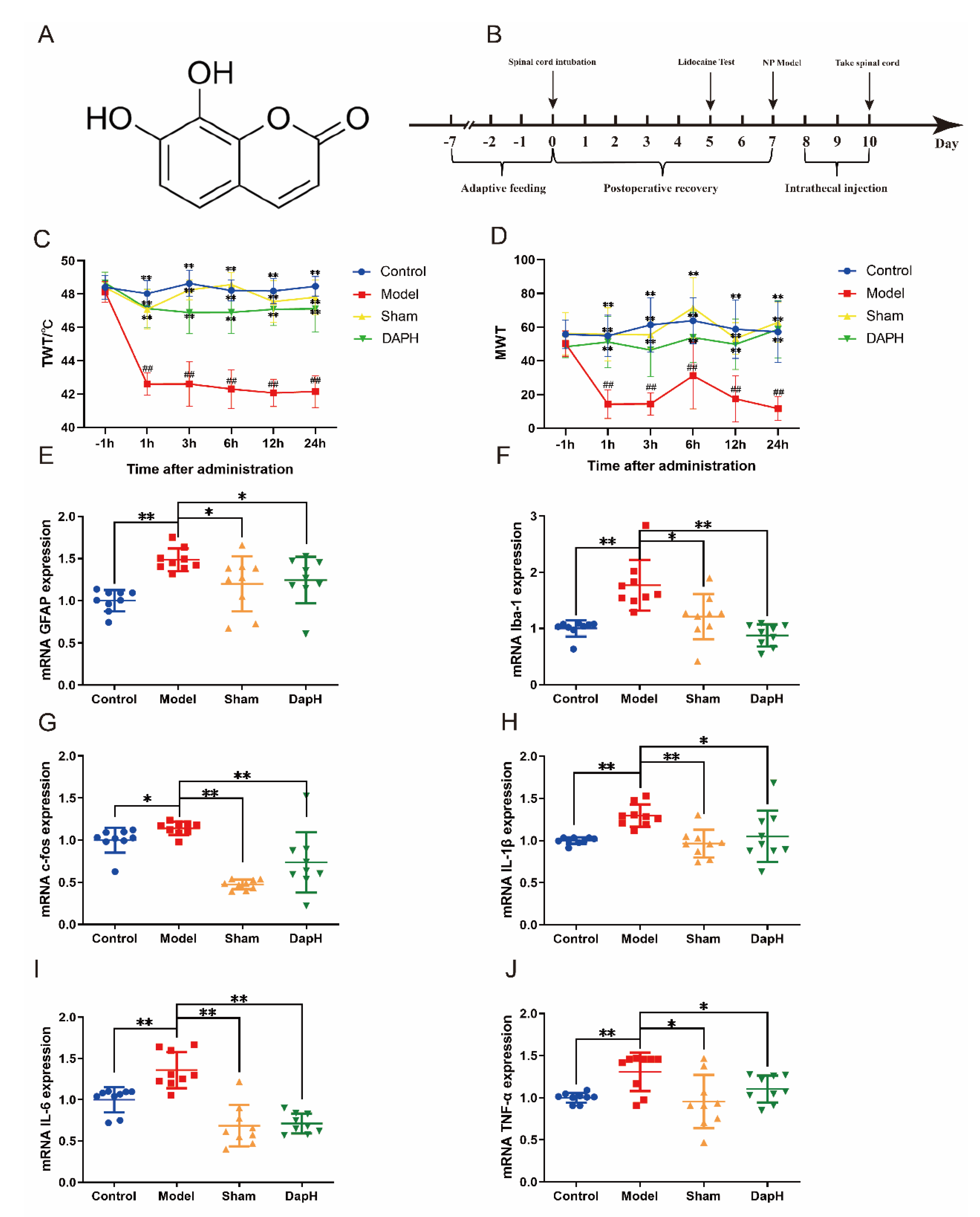 Pharmaceuticals 16 00243 g001 Pharmaceuticals 16 00243 g001