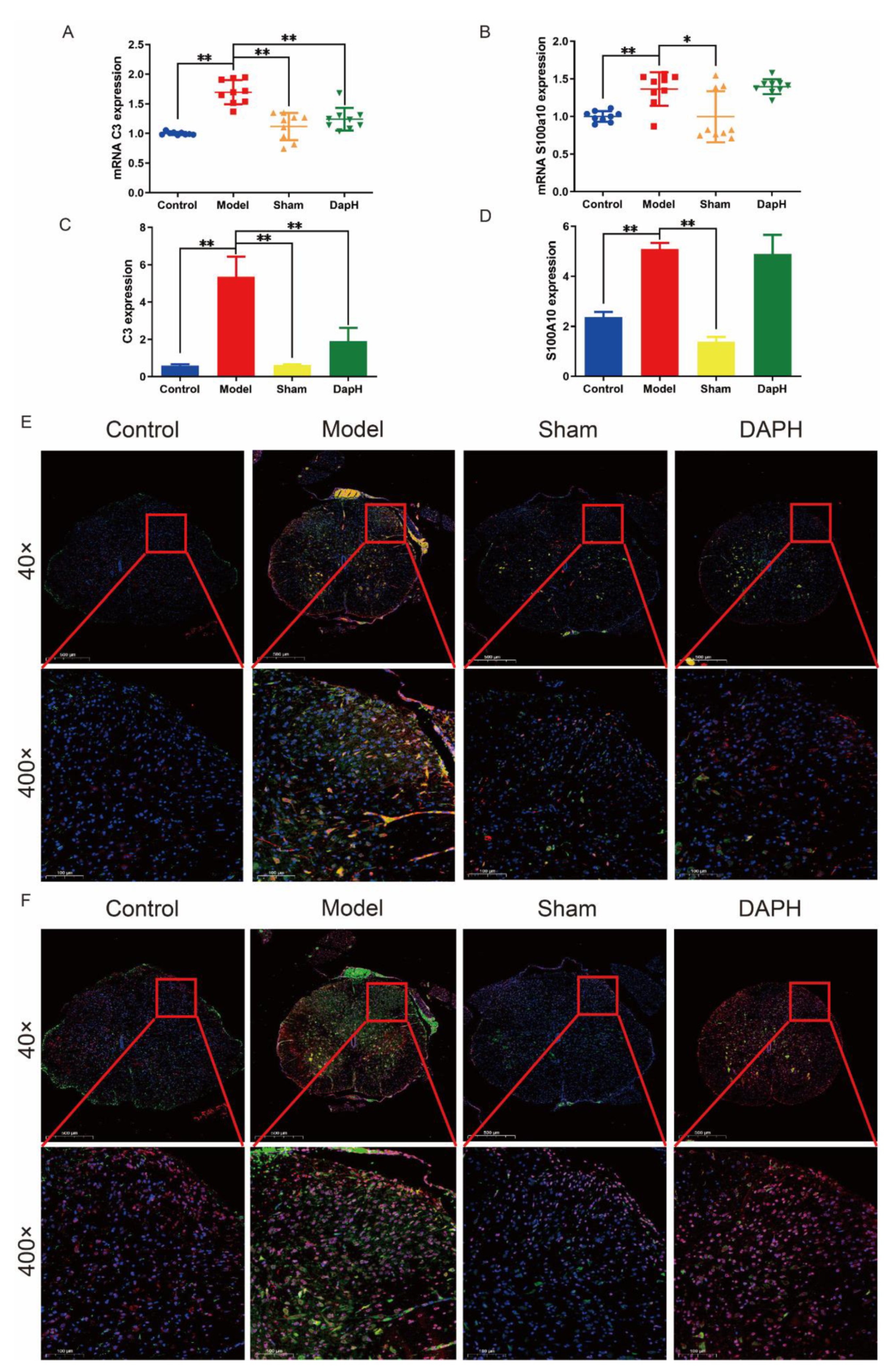 Pharmaceuticals 16 00243 g002 Pharmaceuticals 16 00243 g002