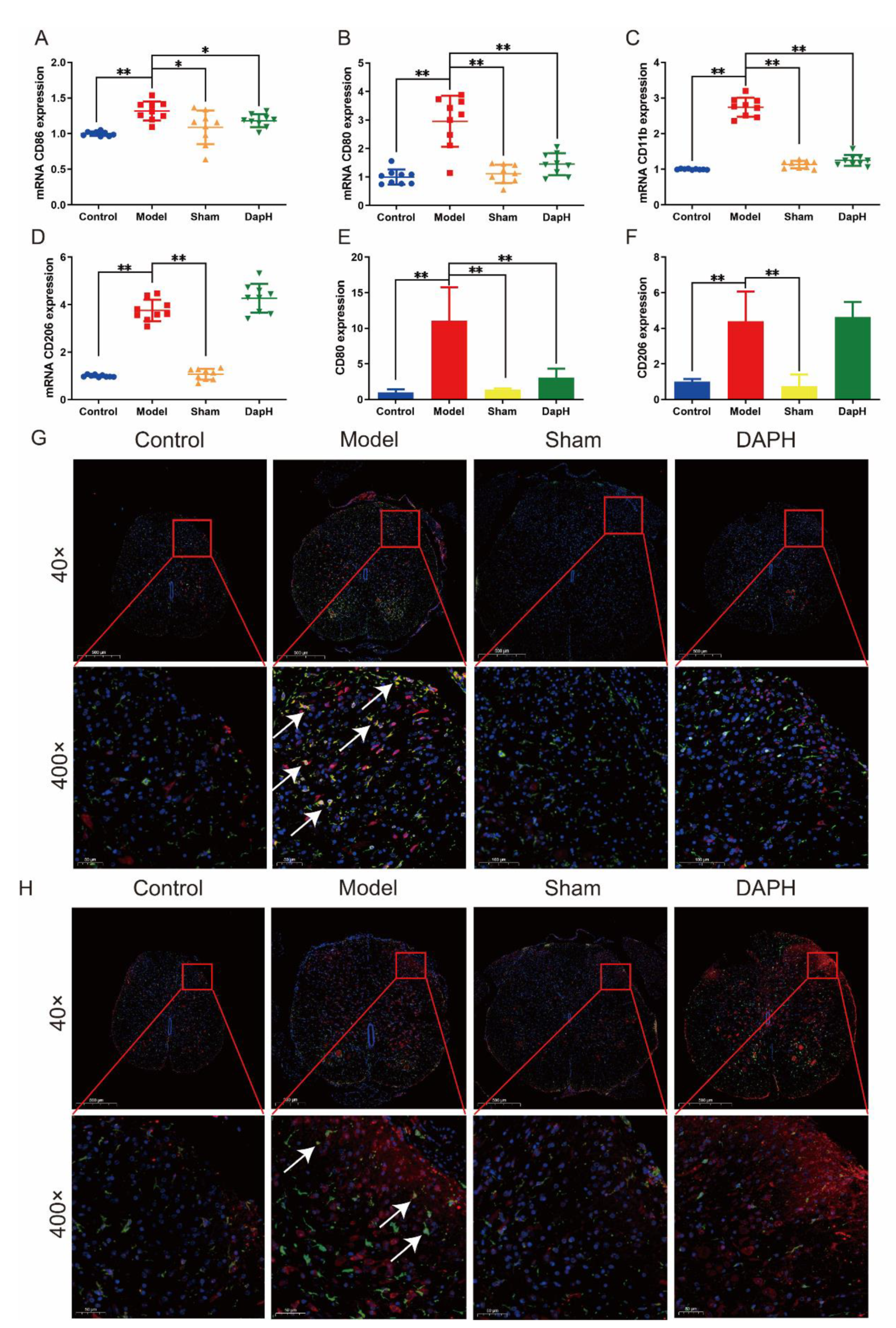 Pharmaceuticals 16 00243 g003 Pharmaceuticals 16 00243 g003