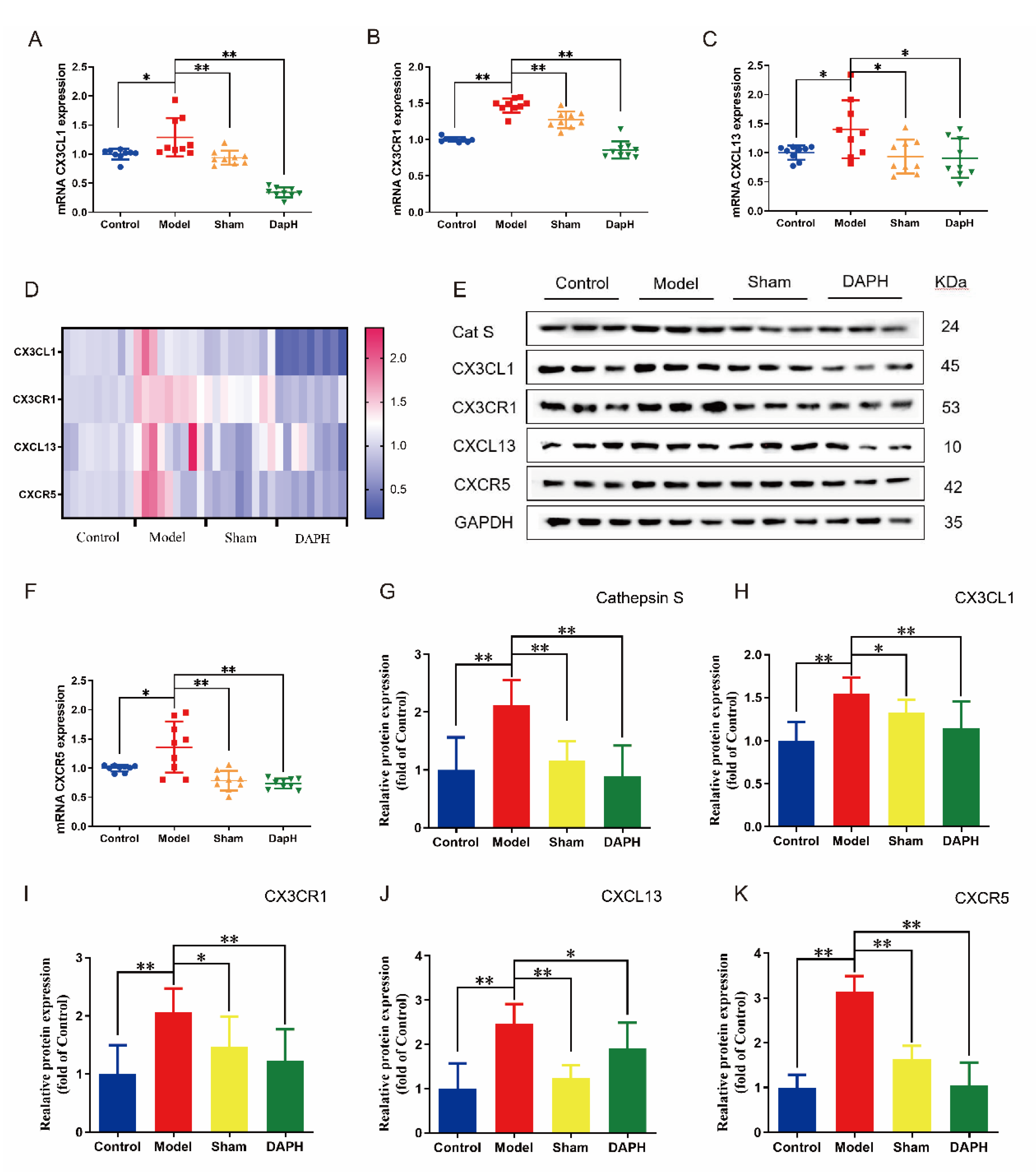 Pharmaceuticals 16 00243 g004 Pharmaceuticals 16 00243 g004
