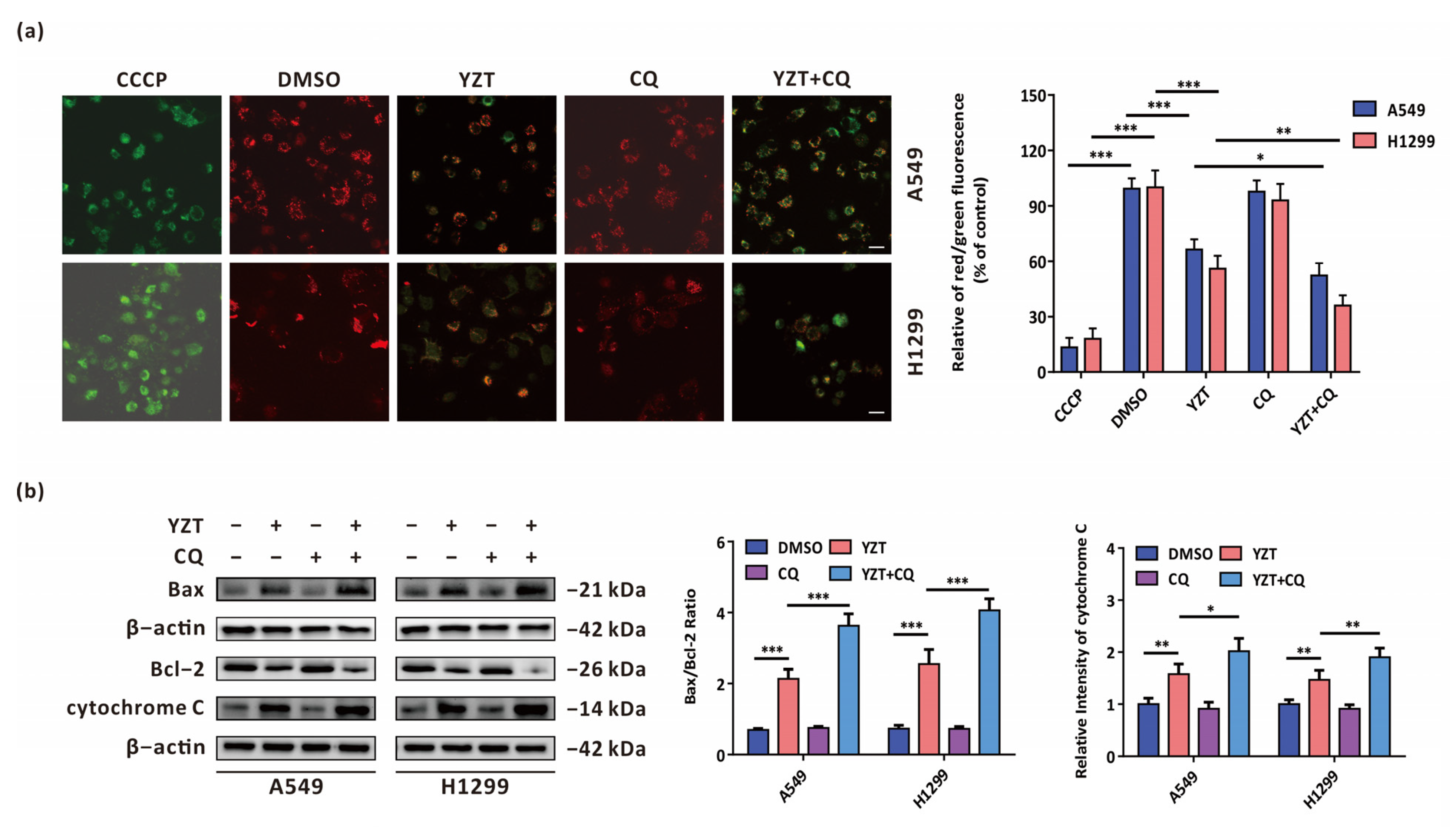 Pharmaceuticals 16 00244 g005 Pharmaceuticals 16 00244 g005