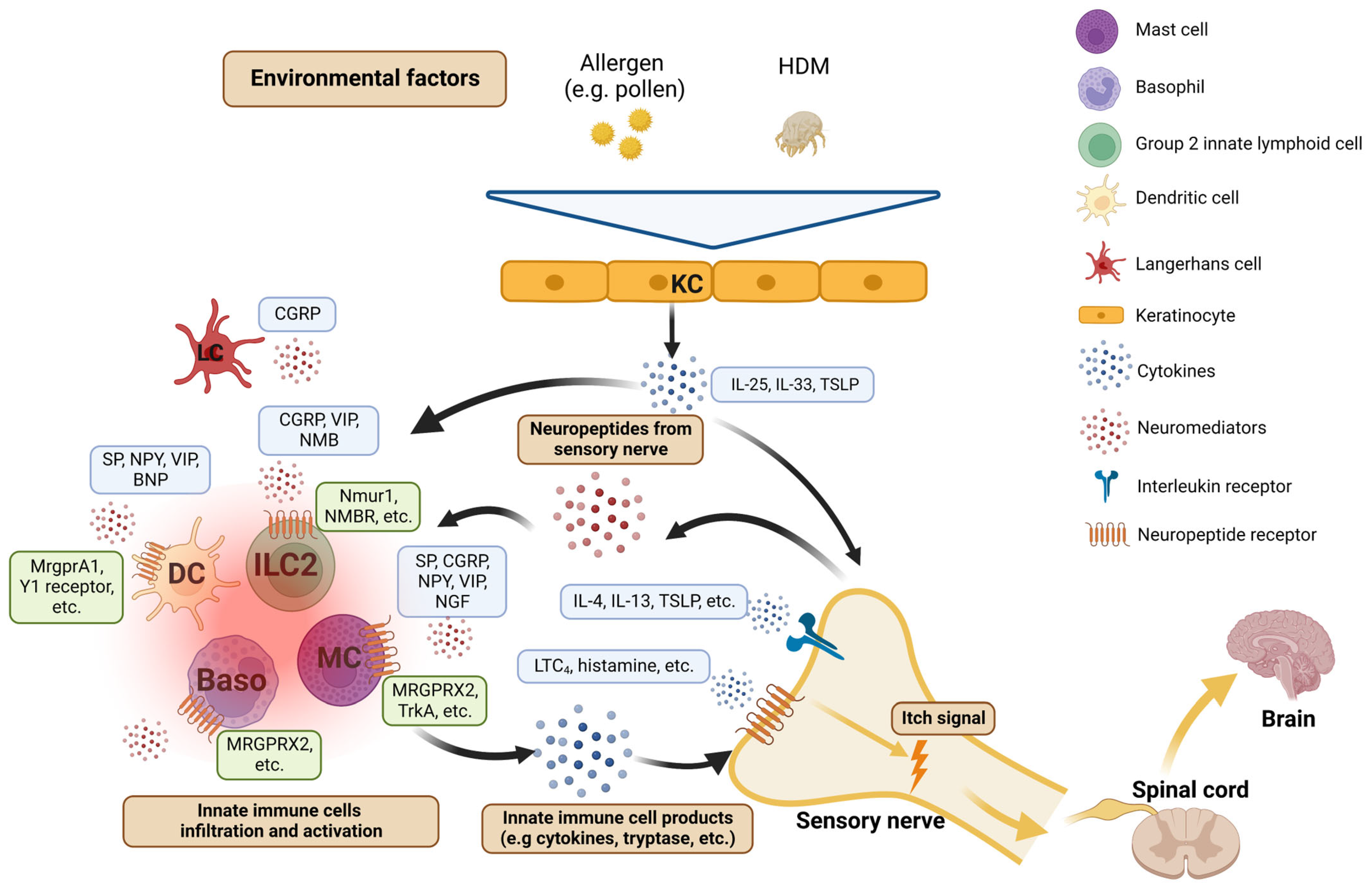 Pharmaceuticals 16 00246 g002 Pharmaceuticals 16 00246 g002