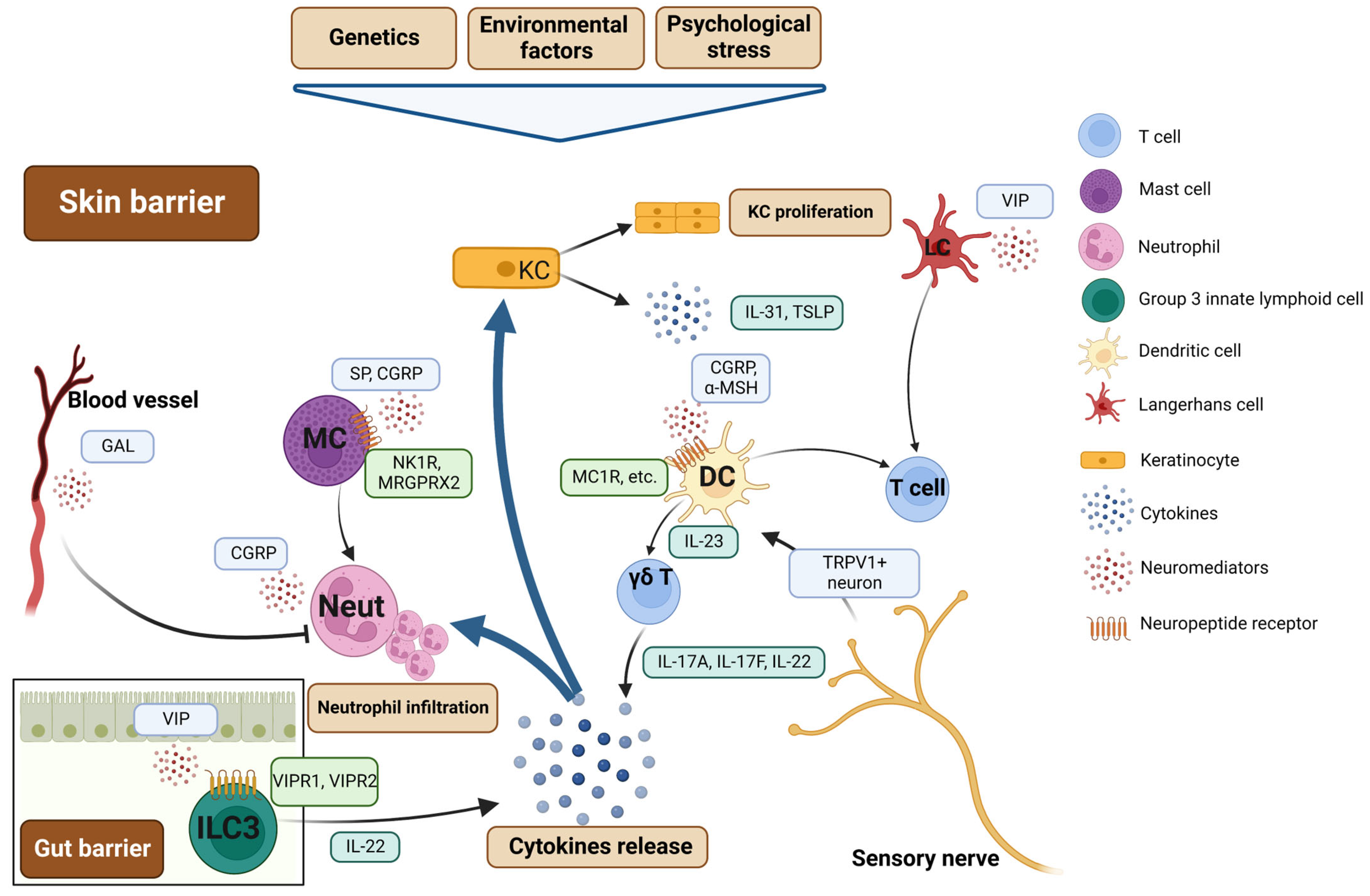 Pharmaceuticals 16 00246 g003 Pharmaceuticals 16 00246 g003