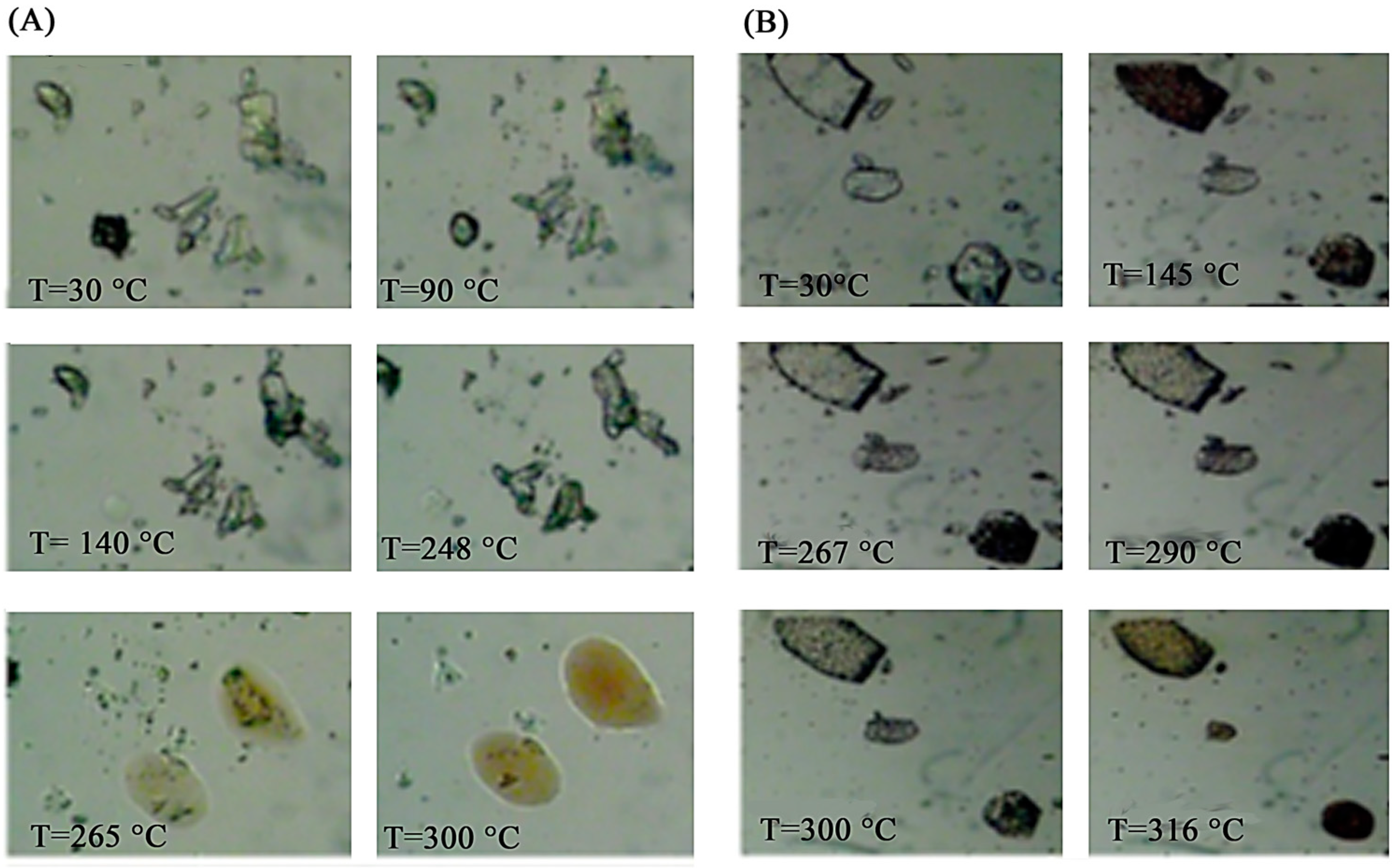Pharmaceuticals 16 00247 g008 550