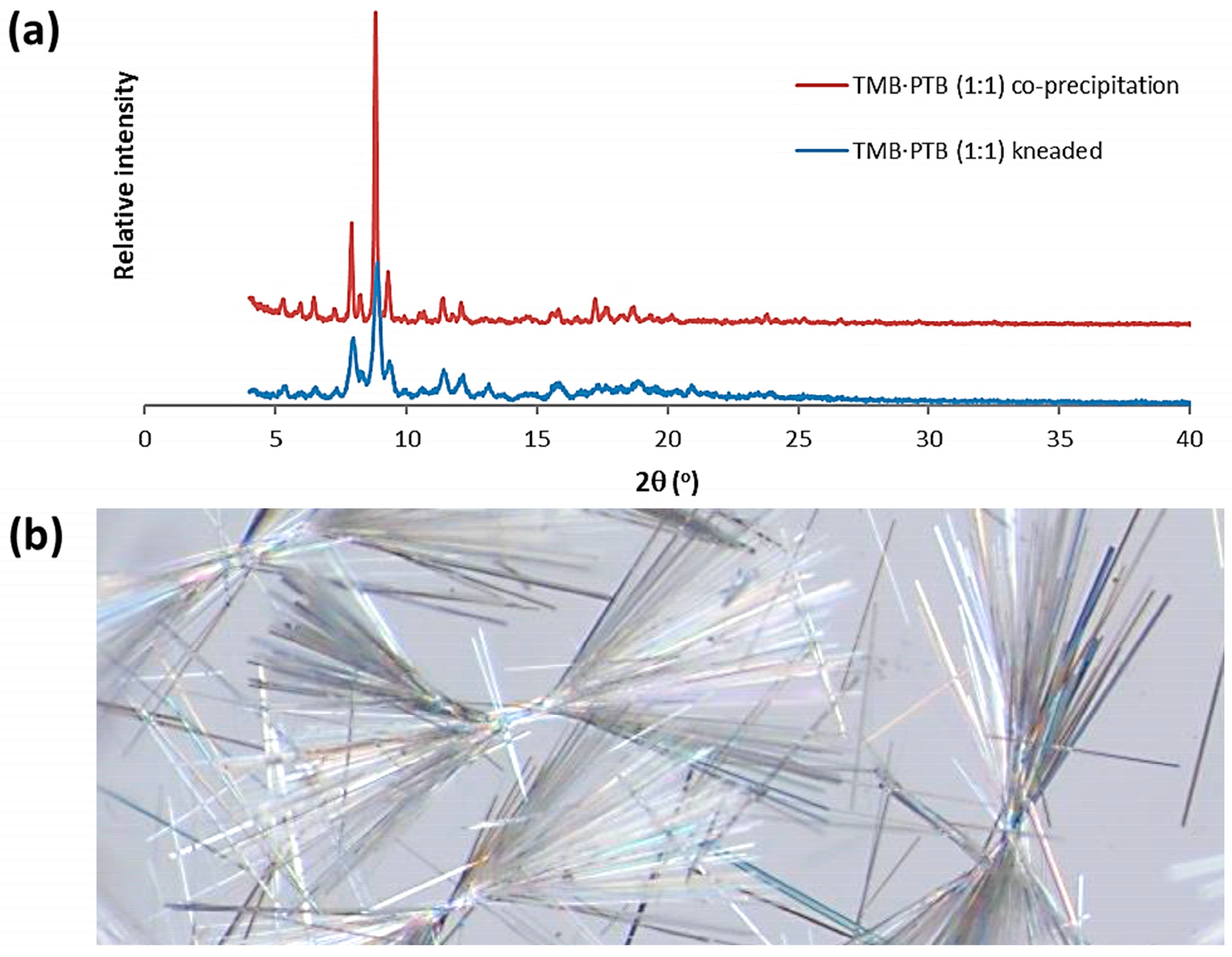 Pharmaceuticals 16 00247 g011 550