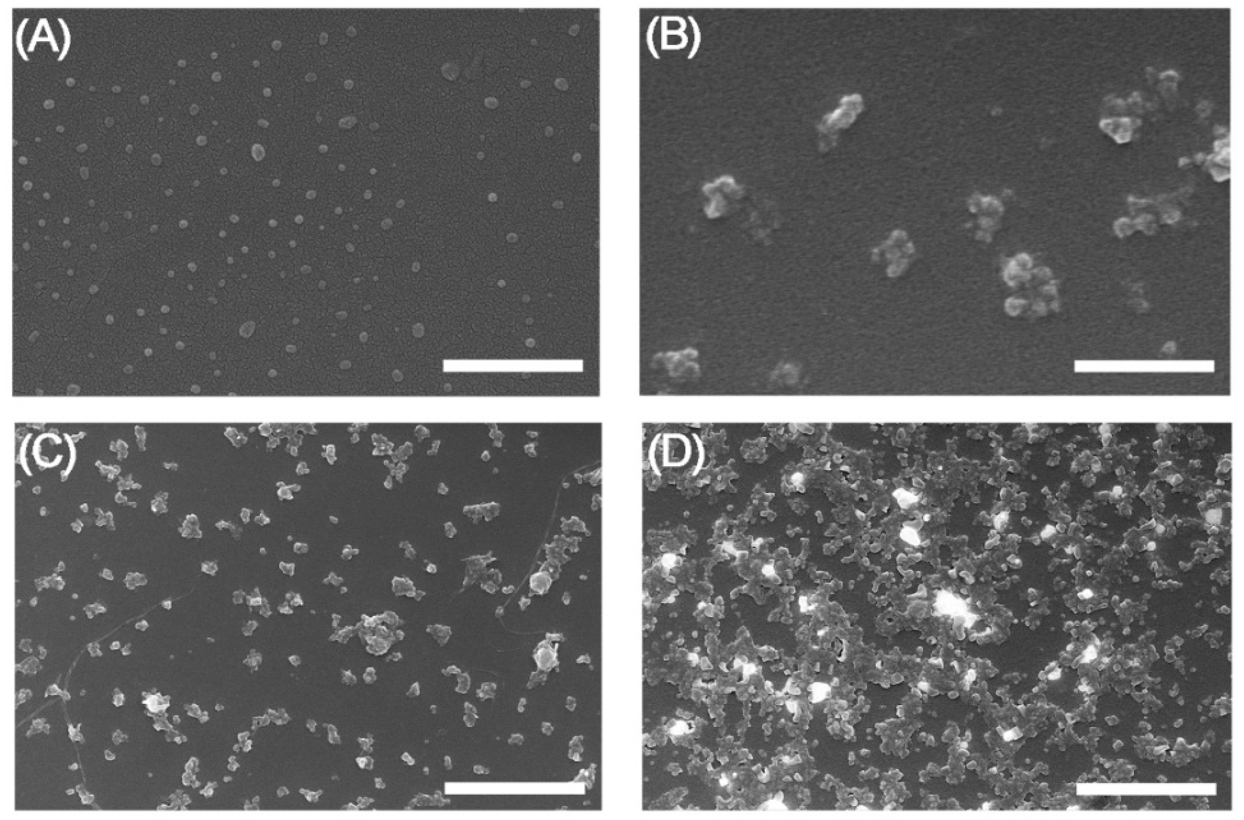 Pharmaceuticals 16 00248 g003 Pharmaceuticals 16 00248 g003