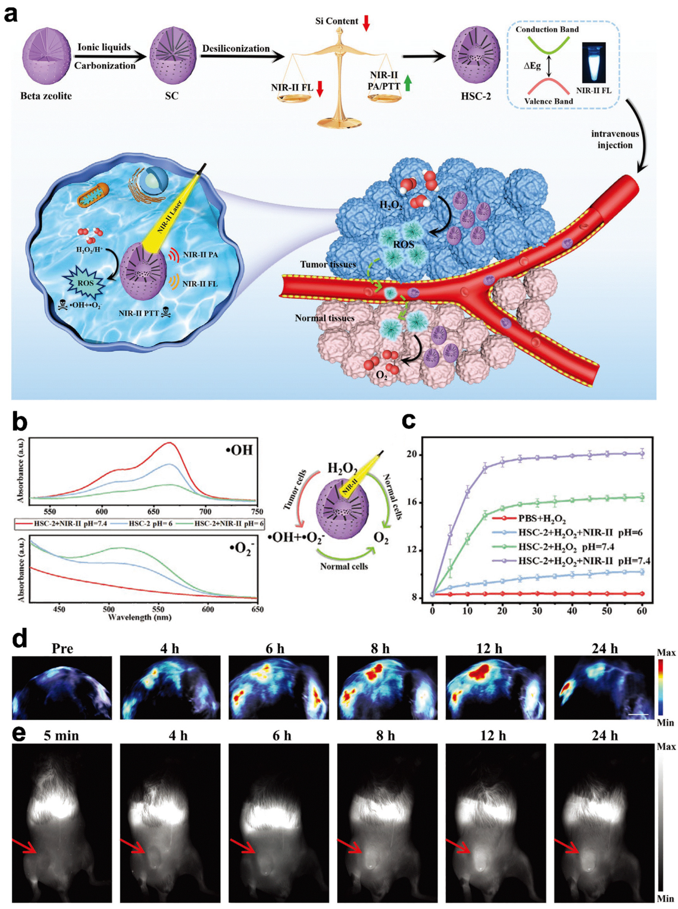 Pharmaceuticals 16 00249 g005 Pharmaceuticals 16 00249 g005