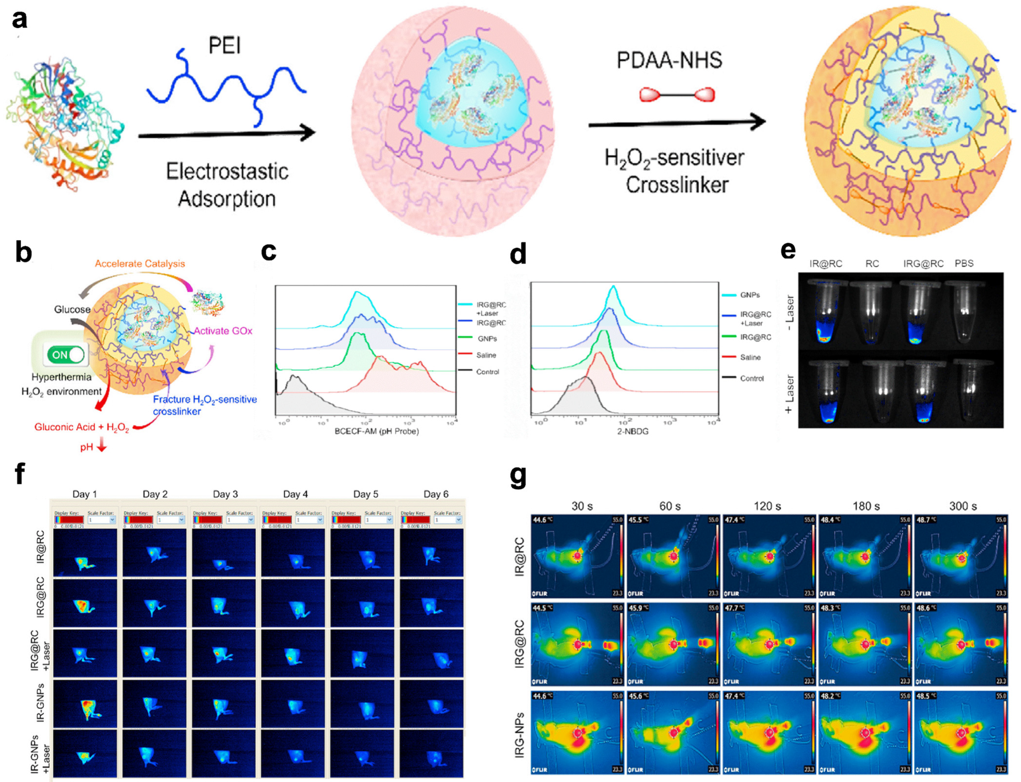 Pharmaceuticals 16 00249 g006 Pharmaceuticals 16 00249 g006